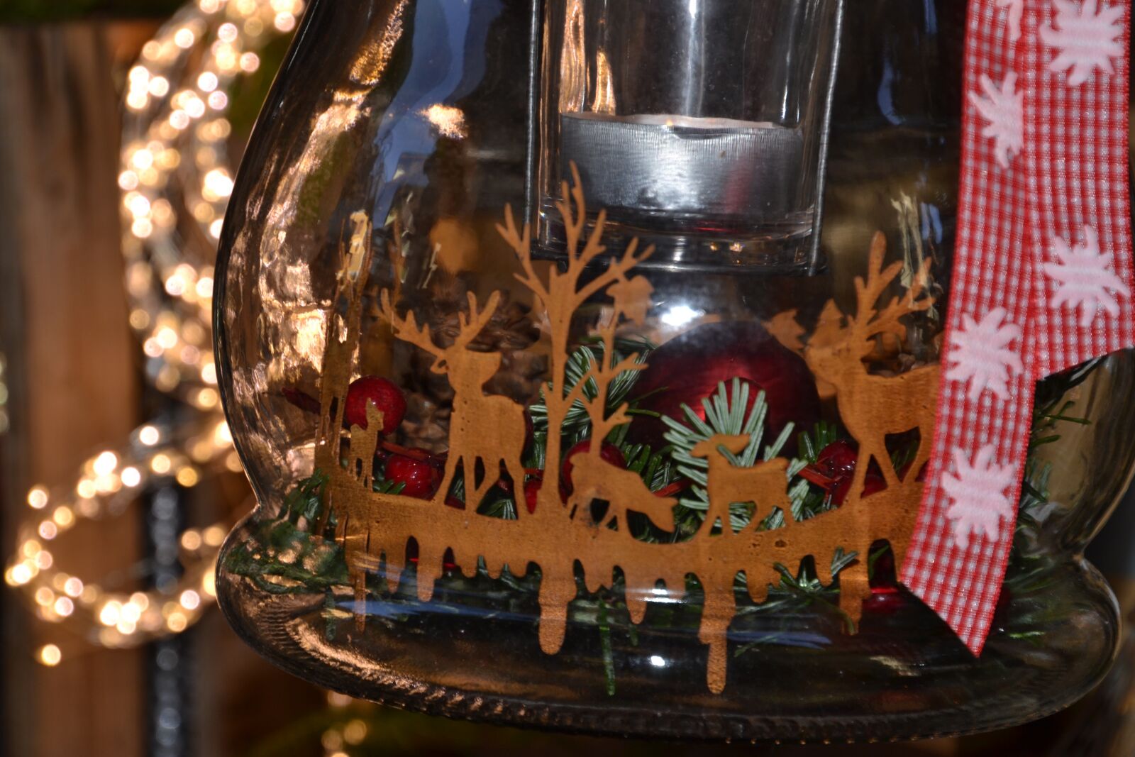Nikon D3100 sample photo. Christmas, decoration, decorative photography