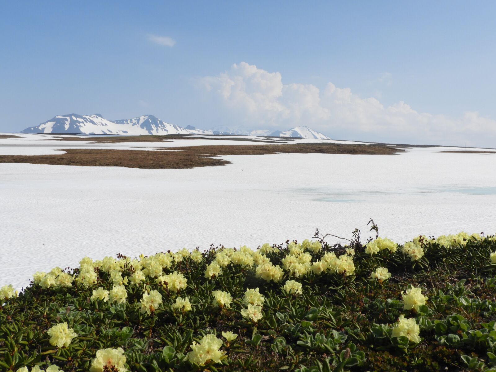 Nikon Coolpix B700 sample photo. Mountain plateau, spring, summer photography