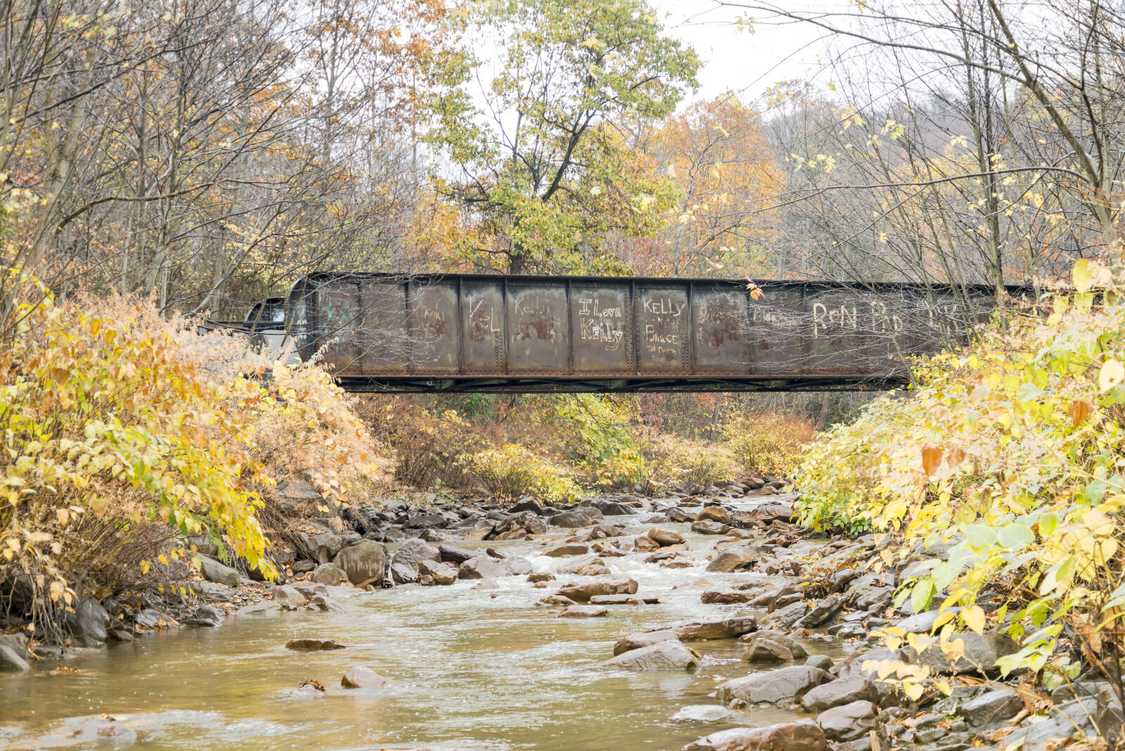 Nikon D600 sample photo. Fall, fall, foliage, train photography