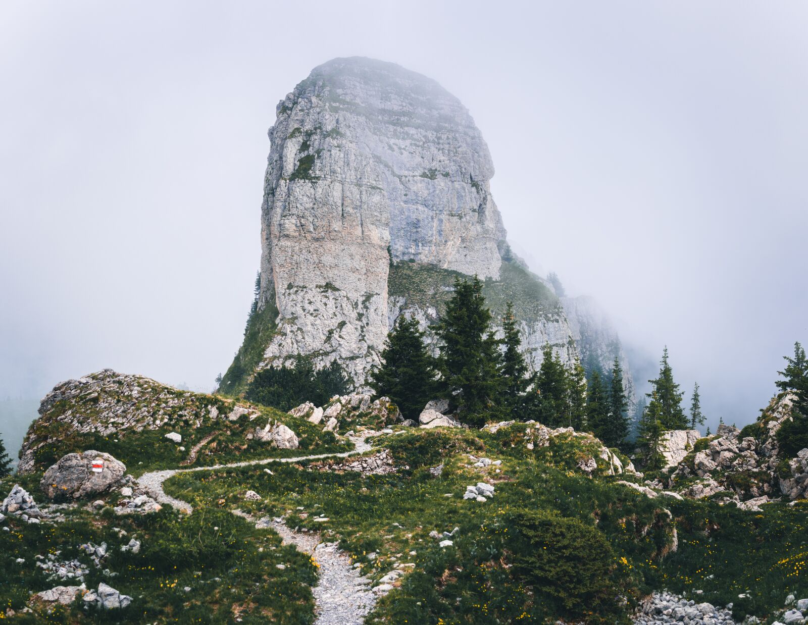 Sony a6300 + Sigma 30mm F2.8 EX DN sample photo. Schynige platte, daube, hiking photography