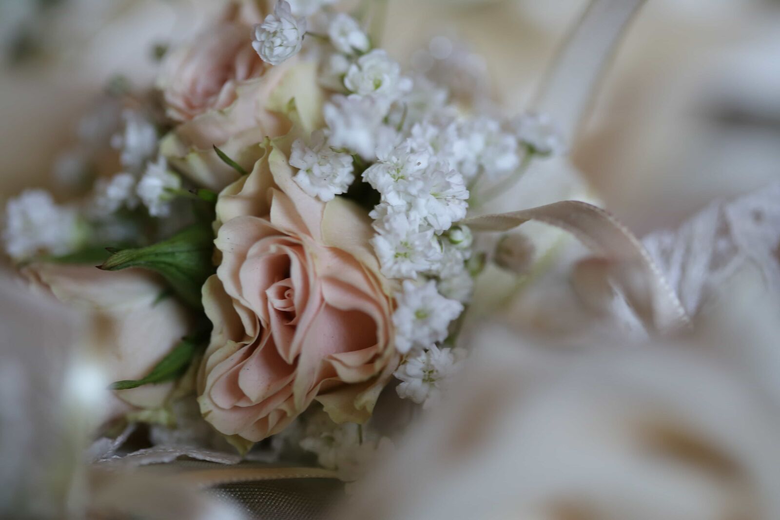 Canon EF 100mm F2.8 Macro USM sample photo. Detail, flowers, roses, silk photography