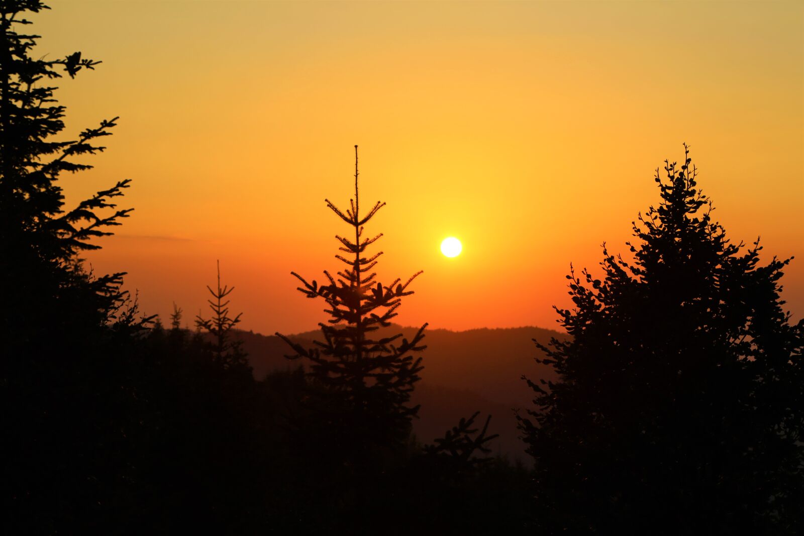 Canon EF 24-105mm F4L IS USM sample photo. Sunset, in the evening photography
