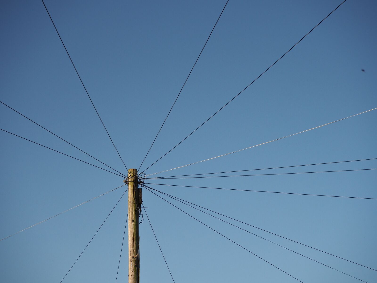 Olympus OM-D E-M10 II sample photo. Cables, pole, sky photography