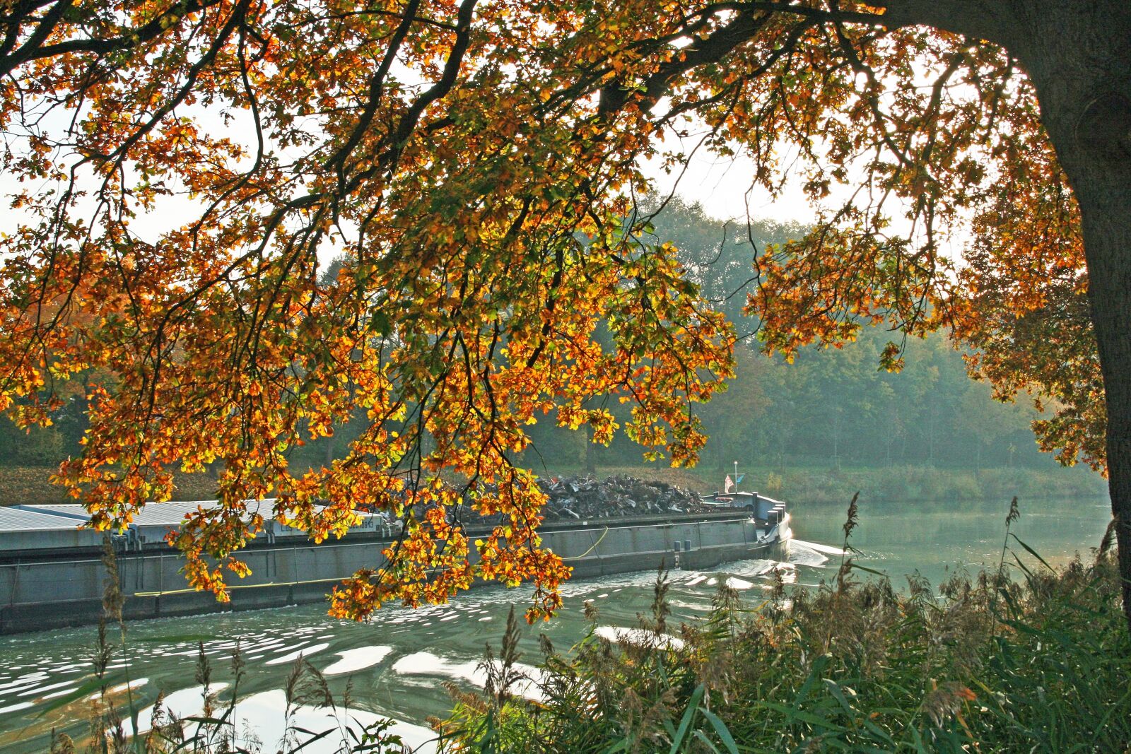 Canon EOS 400D (EOS Digital Rebel XTi / EOS Kiss Digital X) sample photo. Autumn, ship, channel photography