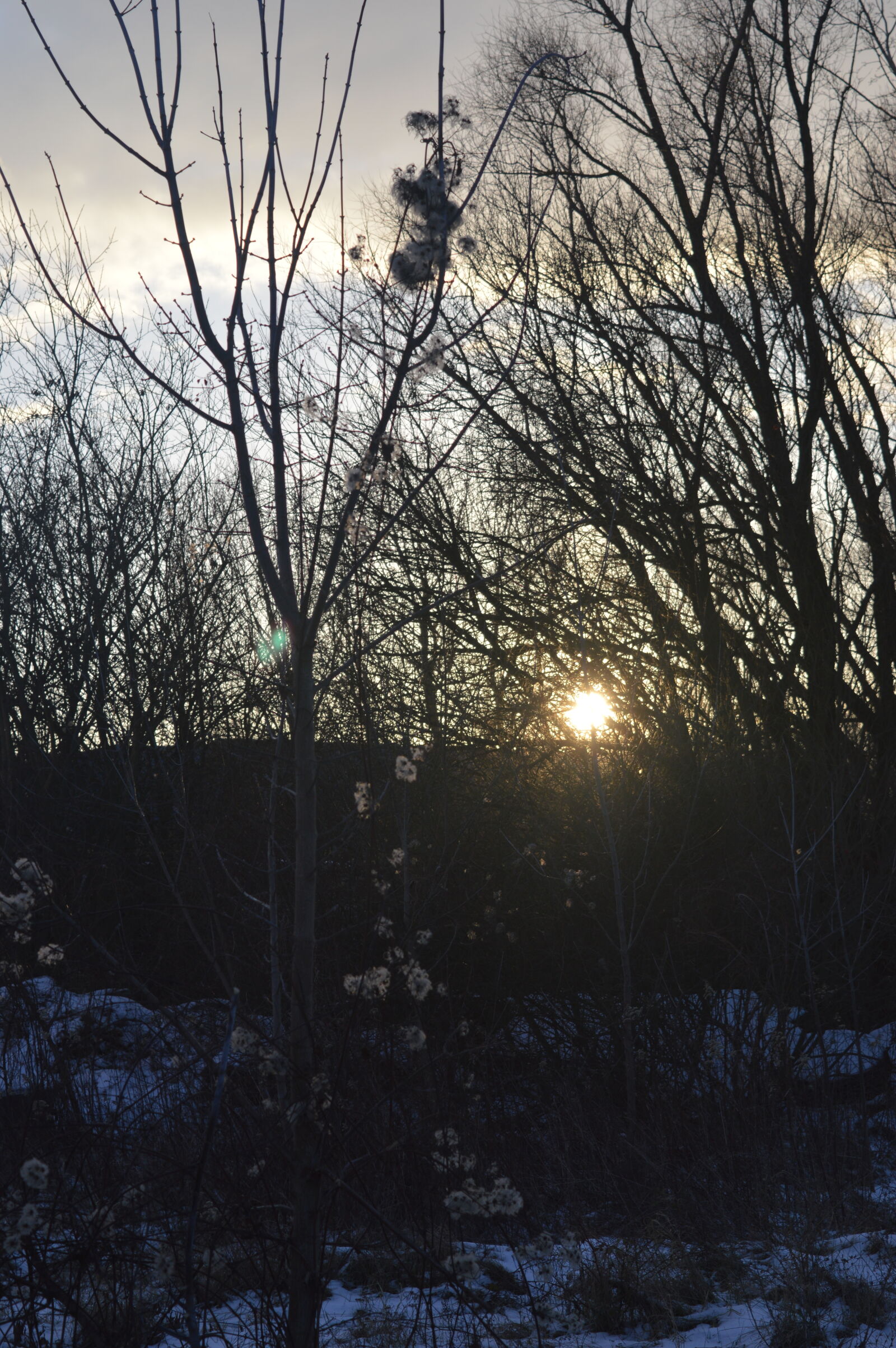 Nikon D3200 sample photo. Sun, sunset photography