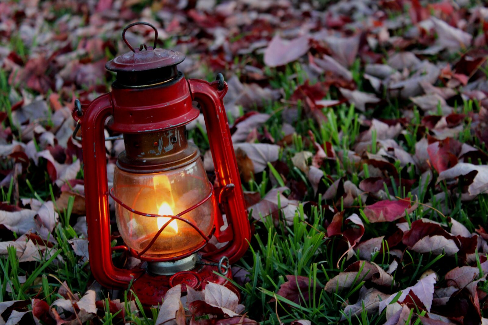 Canon EOS 1200D (EOS Rebel T5 / EOS Kiss X70 / EOS Hi) sample photo. Lantern, oil, red photography