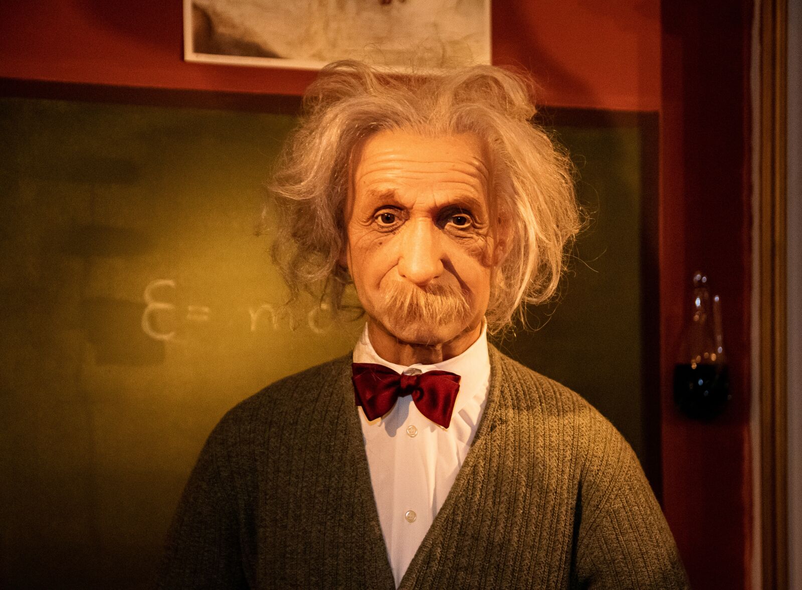 Canon EOS 80D sample photo. Wax figure, albert einstein photography