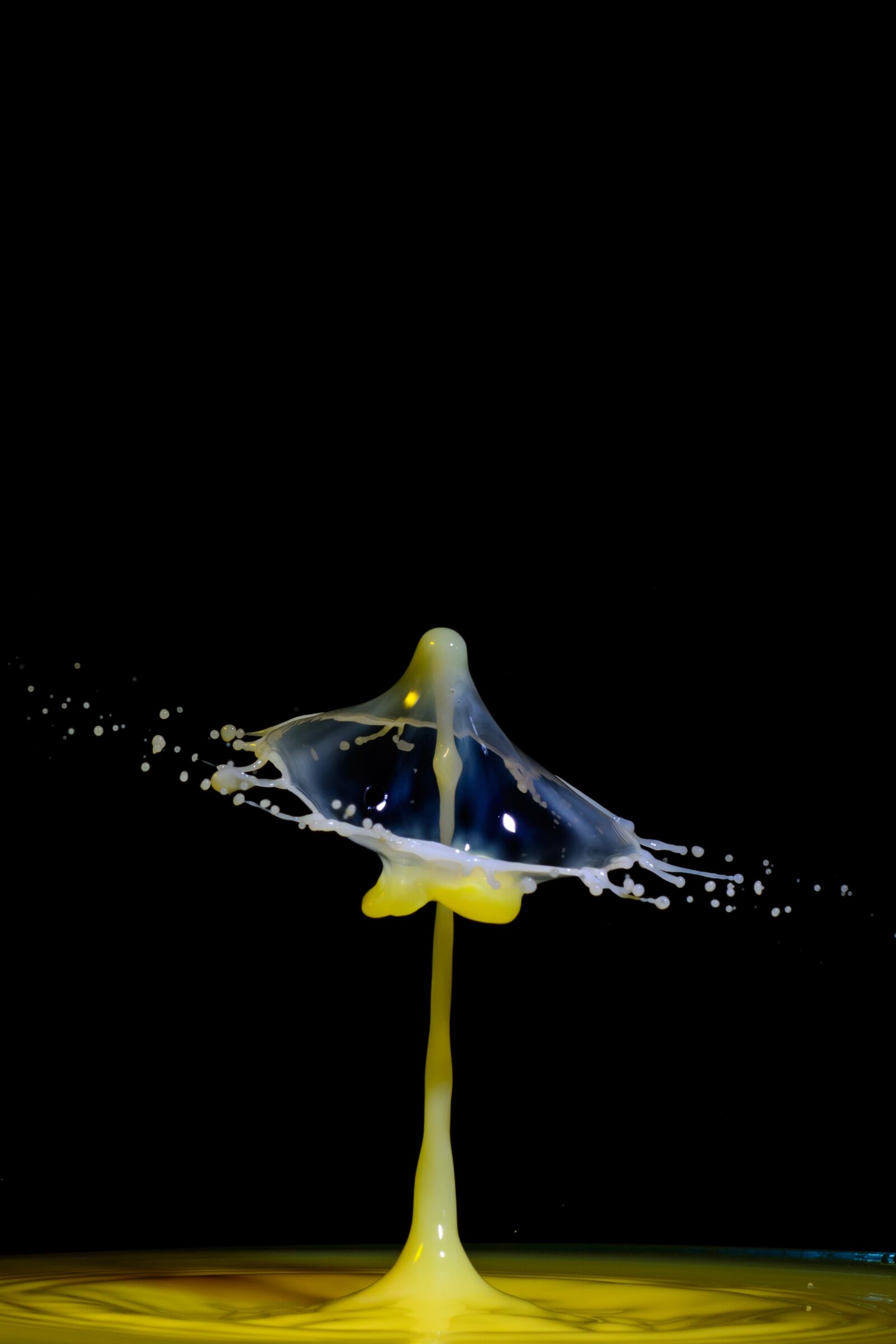 Nikon D7100 sample photo. Drip, spray, water photography
