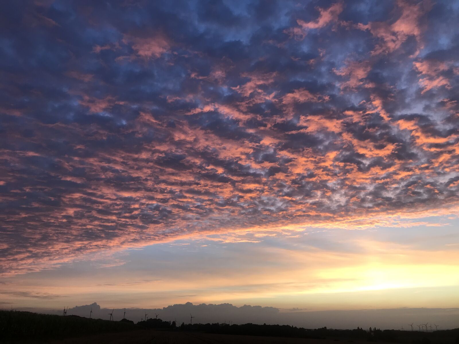 iPhone 7 back camera 3.99mm f/1.8 sample photo. Sunset, sky, mood photography