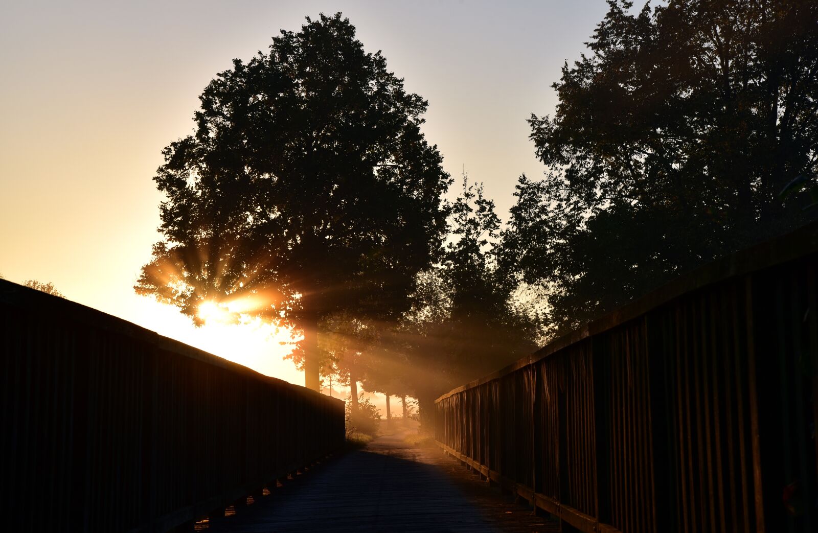 Nikon D750 sample photo. Sunrise, bridge, web photography