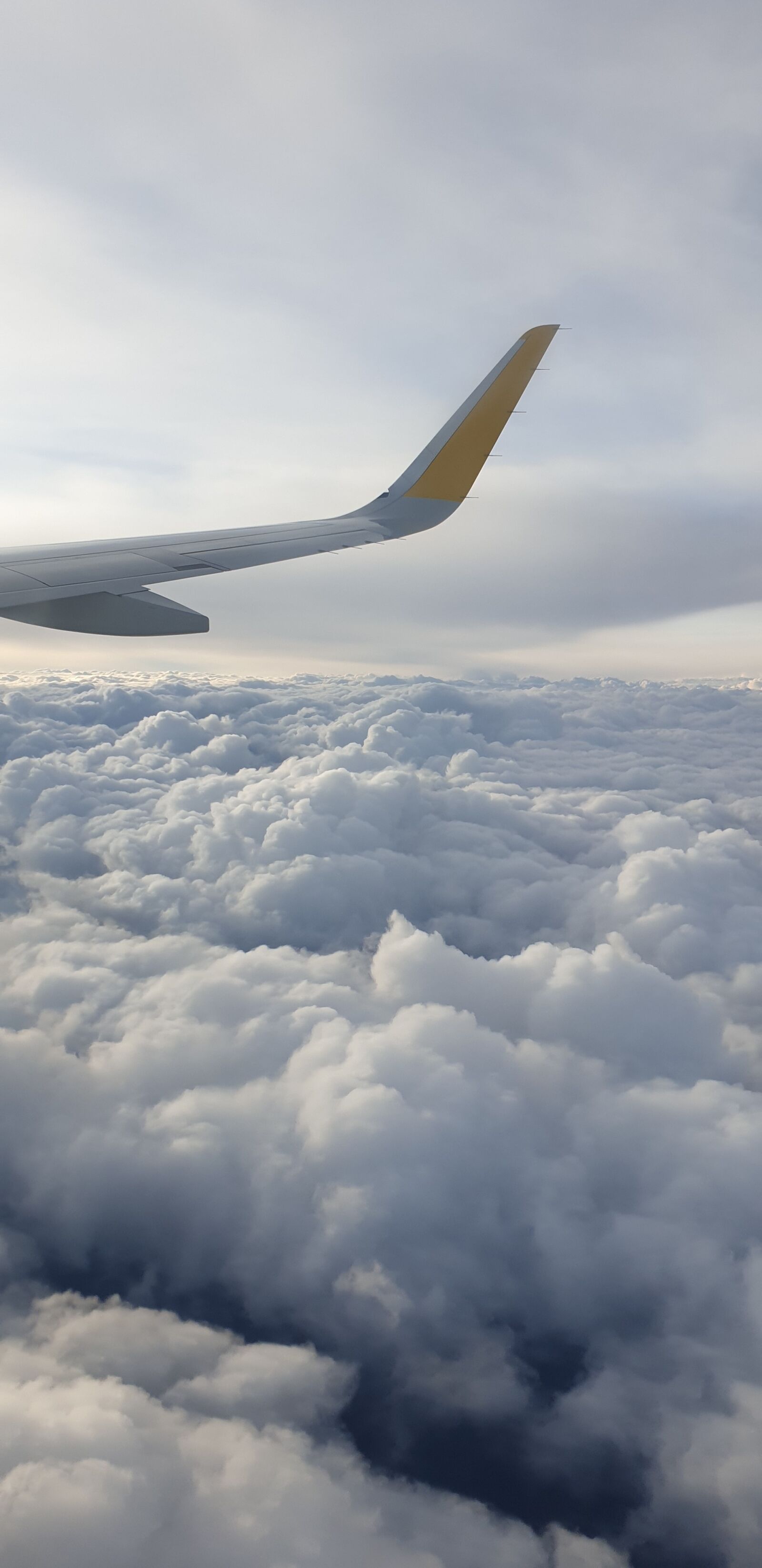 Samsung Galaxy S9+ sample photo. Plane, clouds, flight photography