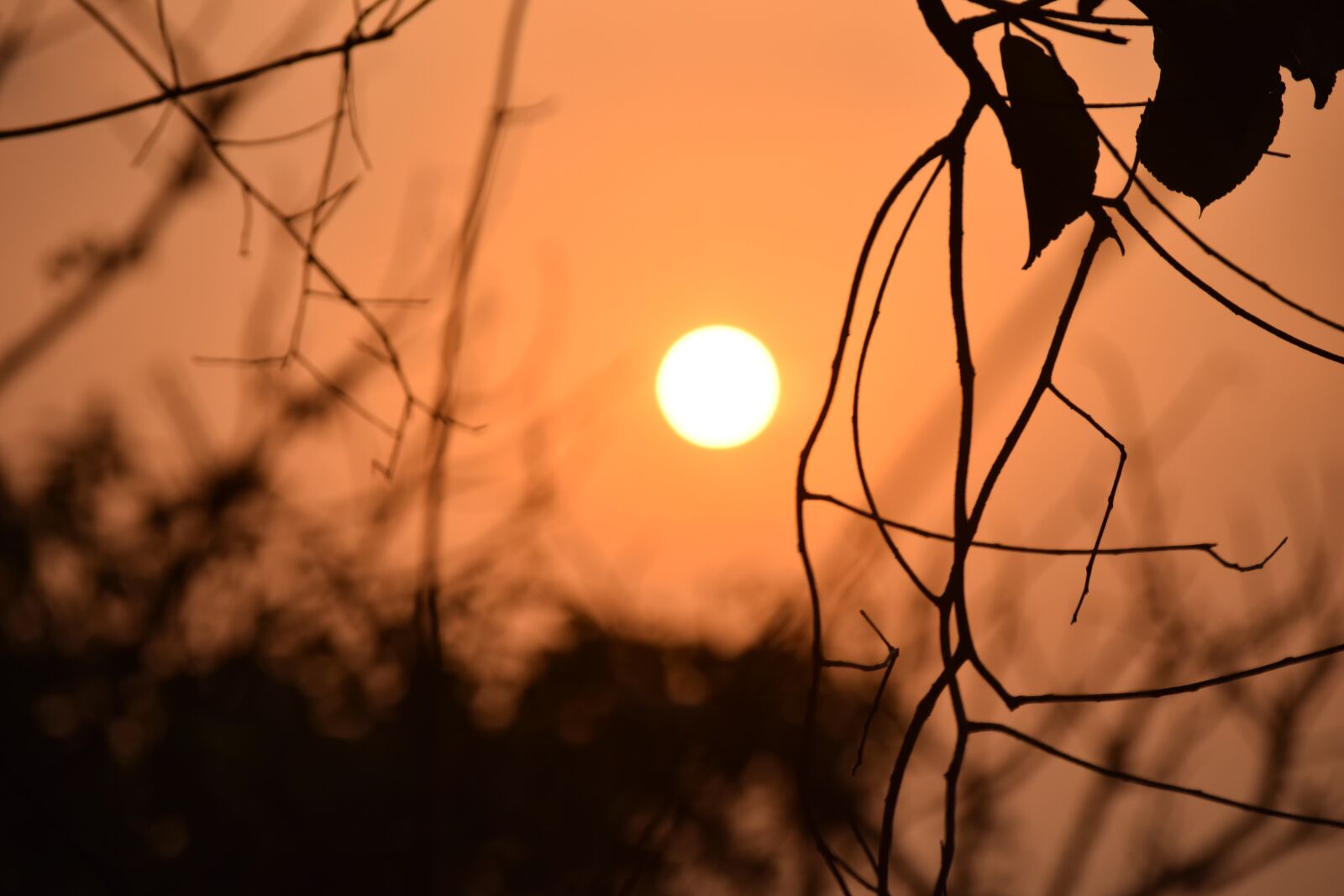 Nikon D5300 sample photo. Sunset, sun, sunrise photography