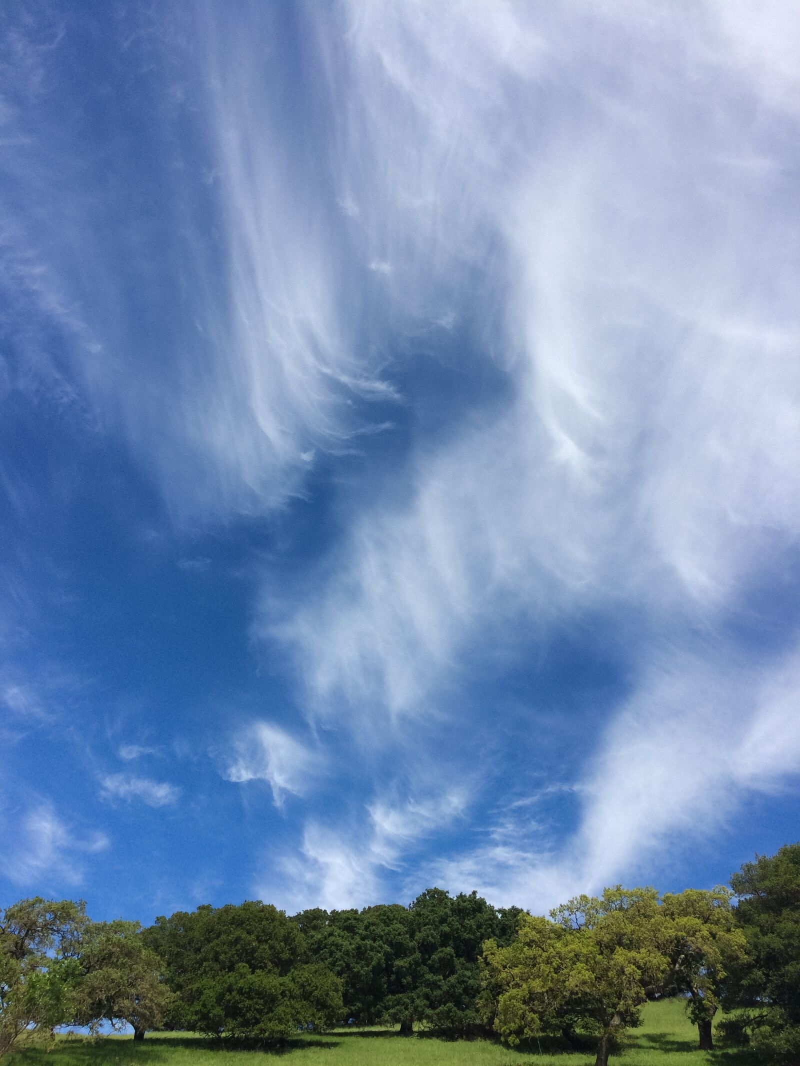 Apple iPhone 5s sample photo. Clouds, trees, green photography