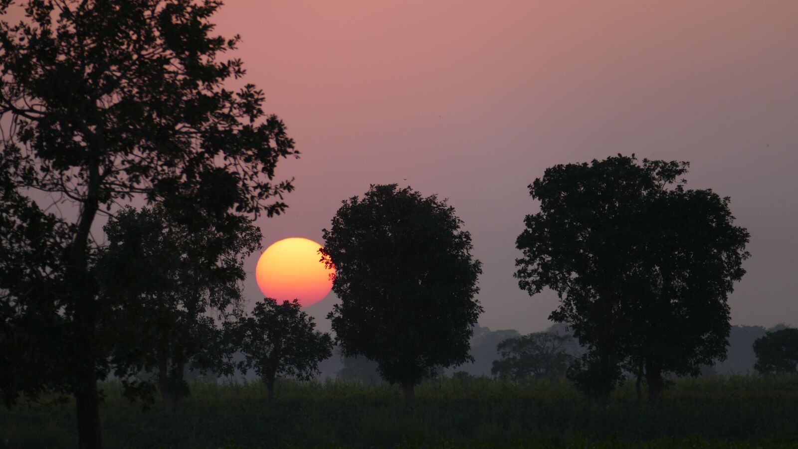 Panasonic Lumix DMC-FZ1000 sample photo. Sunset, red, sky photography