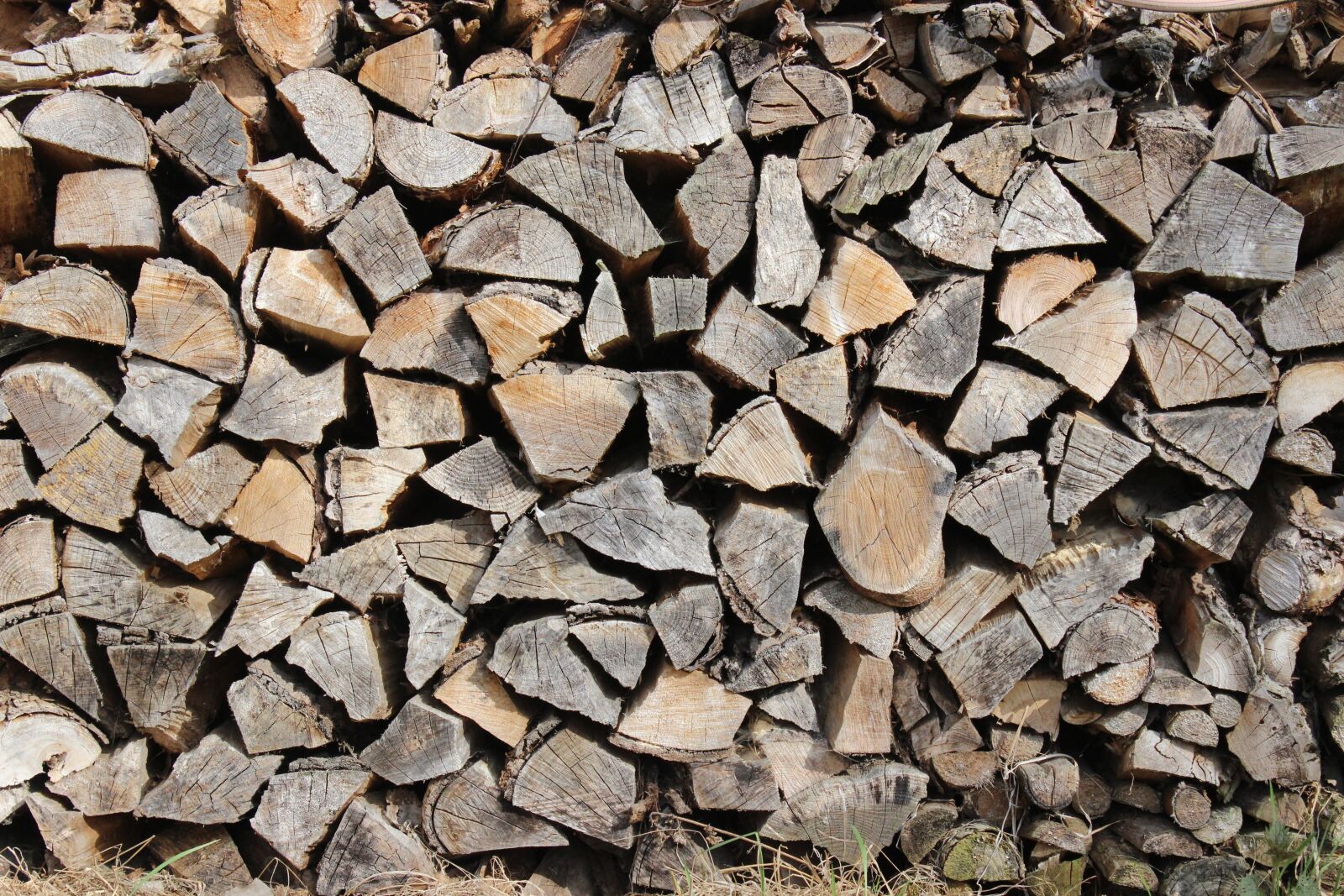 Canon EOS 600D (Rebel EOS T3i / EOS Kiss X5) sample photo. Wood, log, firewood photography