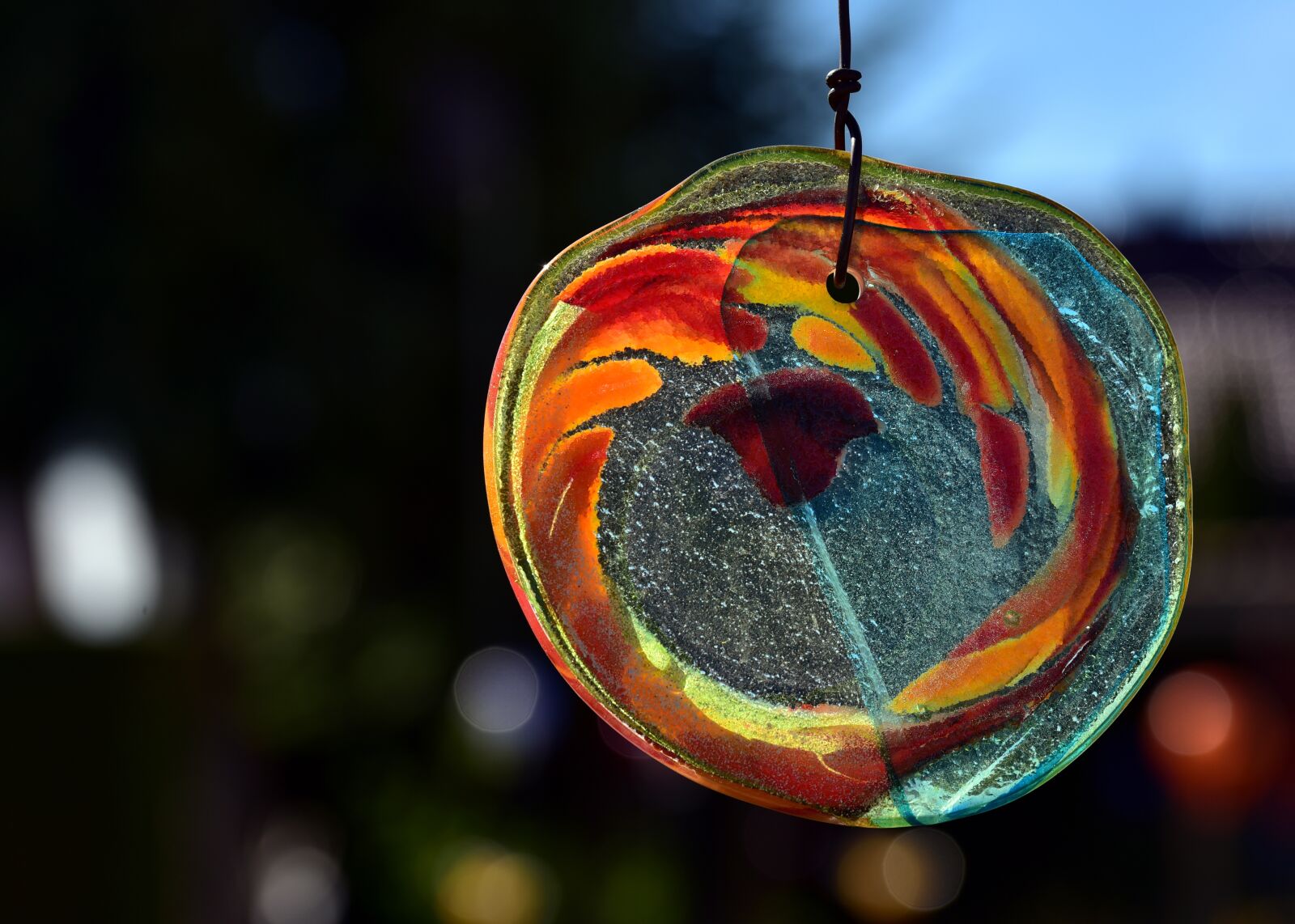 Nikon D750 sample photo. Glass, disc, transparent photography