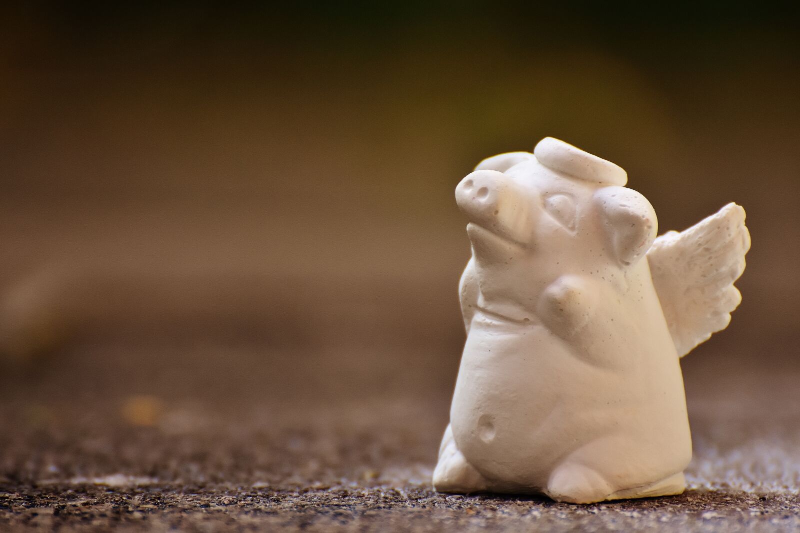 Nikon D7200 sample photo. Guardian angel, pig, gypsum photography