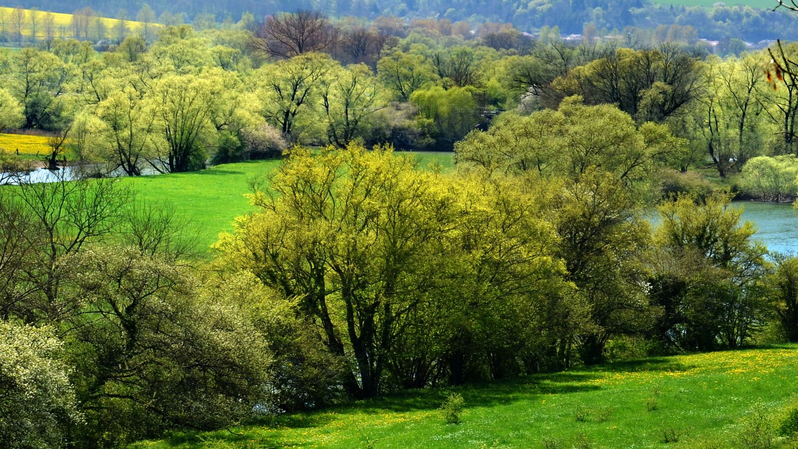 Nikon D5100 sample photo. Landscape, trees, river photography