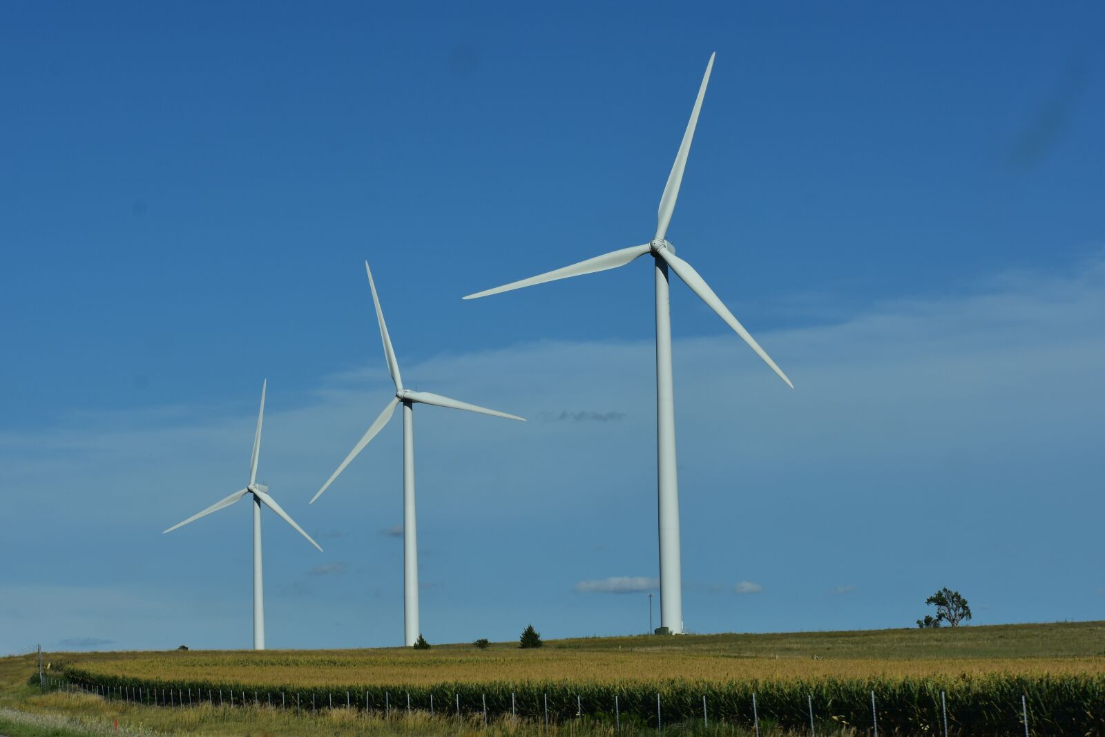 Nikon D3400 sample photo. Windmills, electricity, farm photography