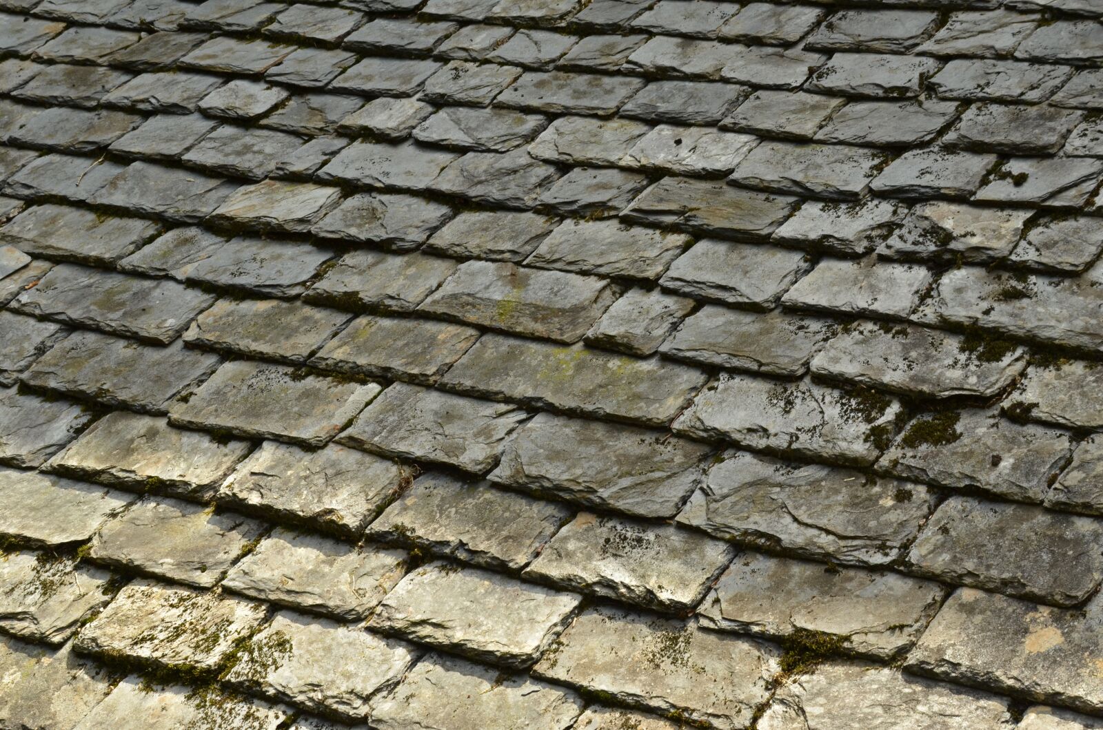 Nikon D7000 sample photo. Lei, slate, natural stone photography