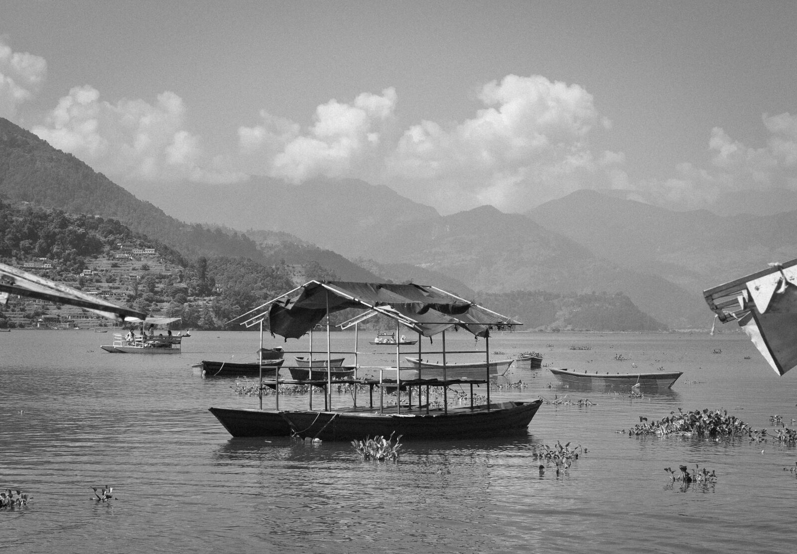 Nikon D5000 sample photo. Fewa lake, boats, water photography