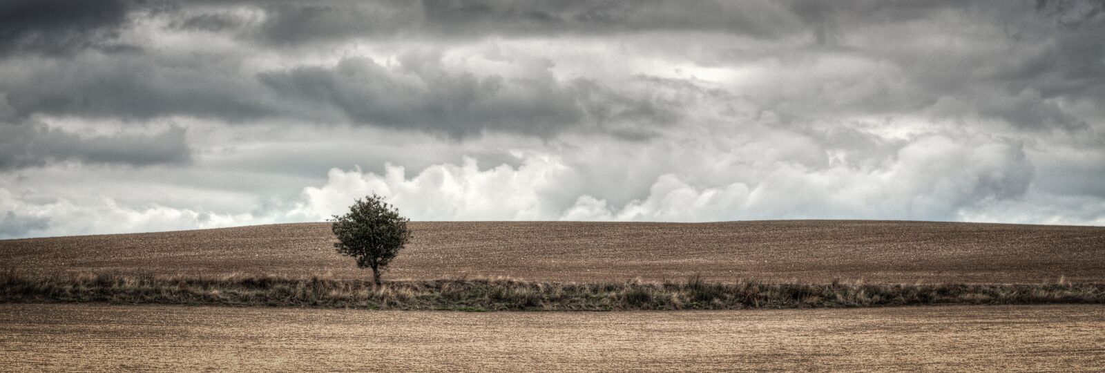 Canon EOS 700D (EOS Rebel T5i / EOS Kiss X7i) + Canon EF 50mm F1.8 STM sample photo. Tree, field, heaven photography