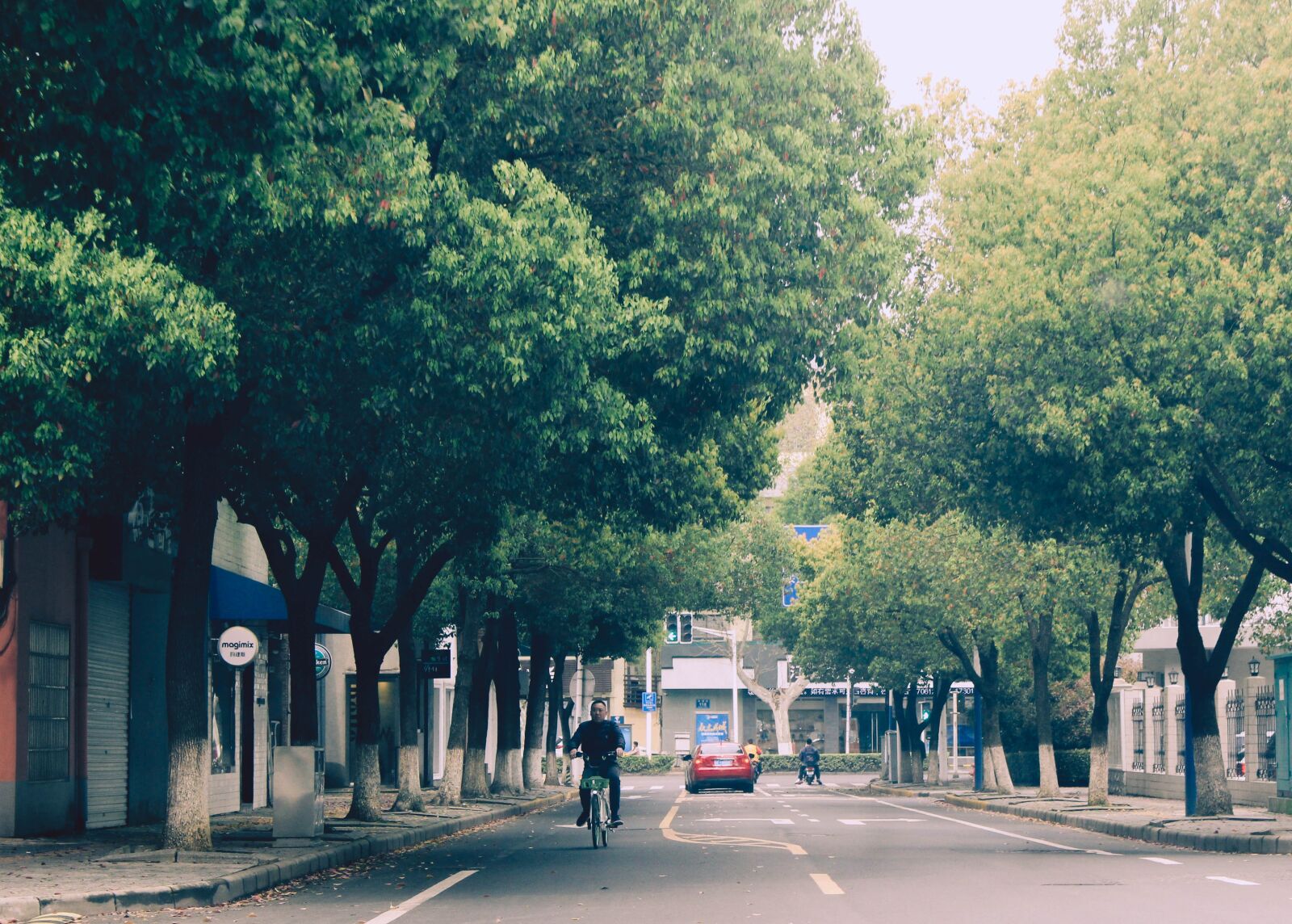 Canon EOS 60D sample photo. 街道, 树木, 悠闲 photography