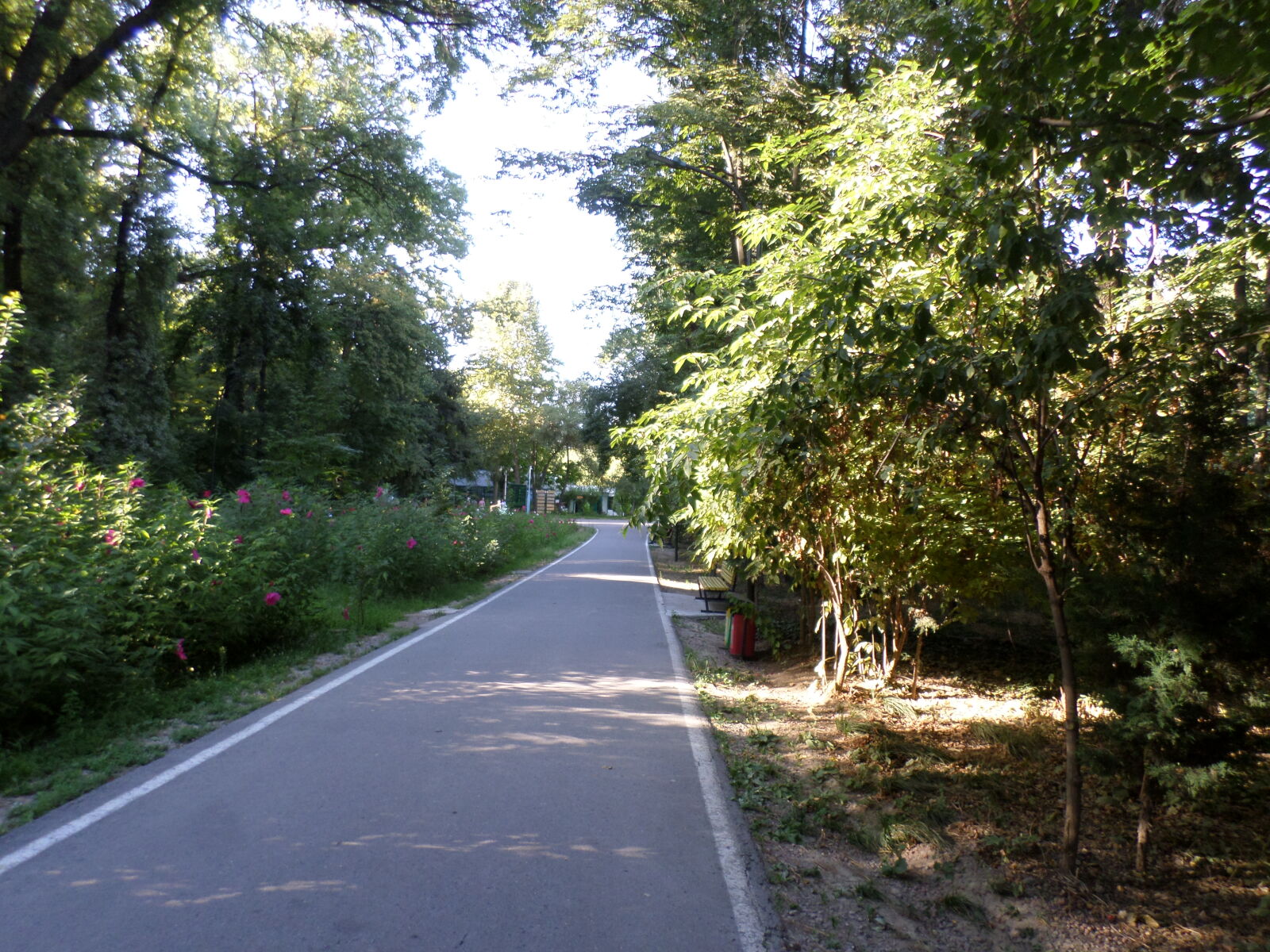 Samsung ST72/ST73 sample photo
