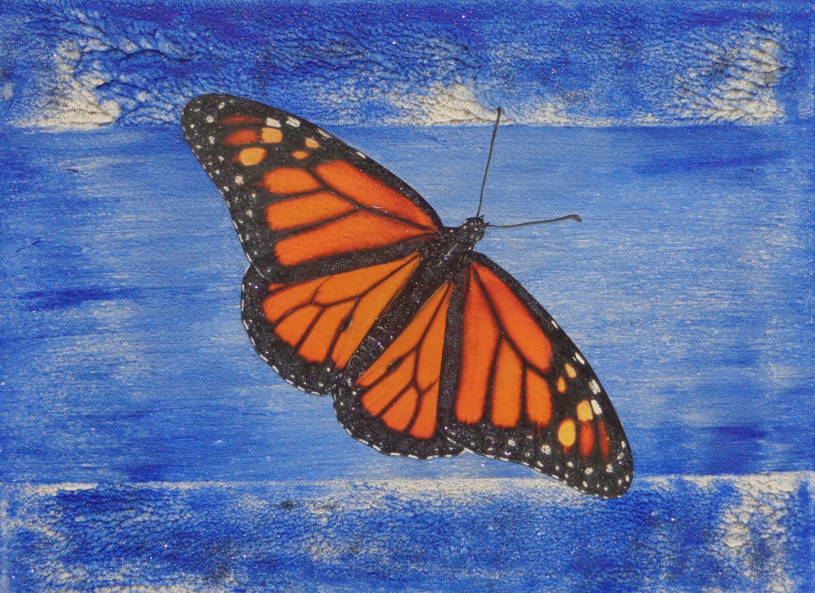 Sony Cyber-shot DSC-W690 sample photo. Butterfly, blue, flying photography