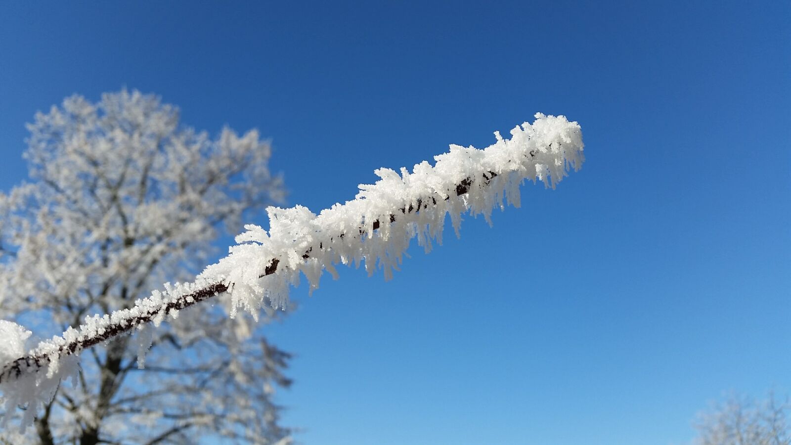 Samsung Galaxy S5 sample photo. Blue, blue, sky, cold photography