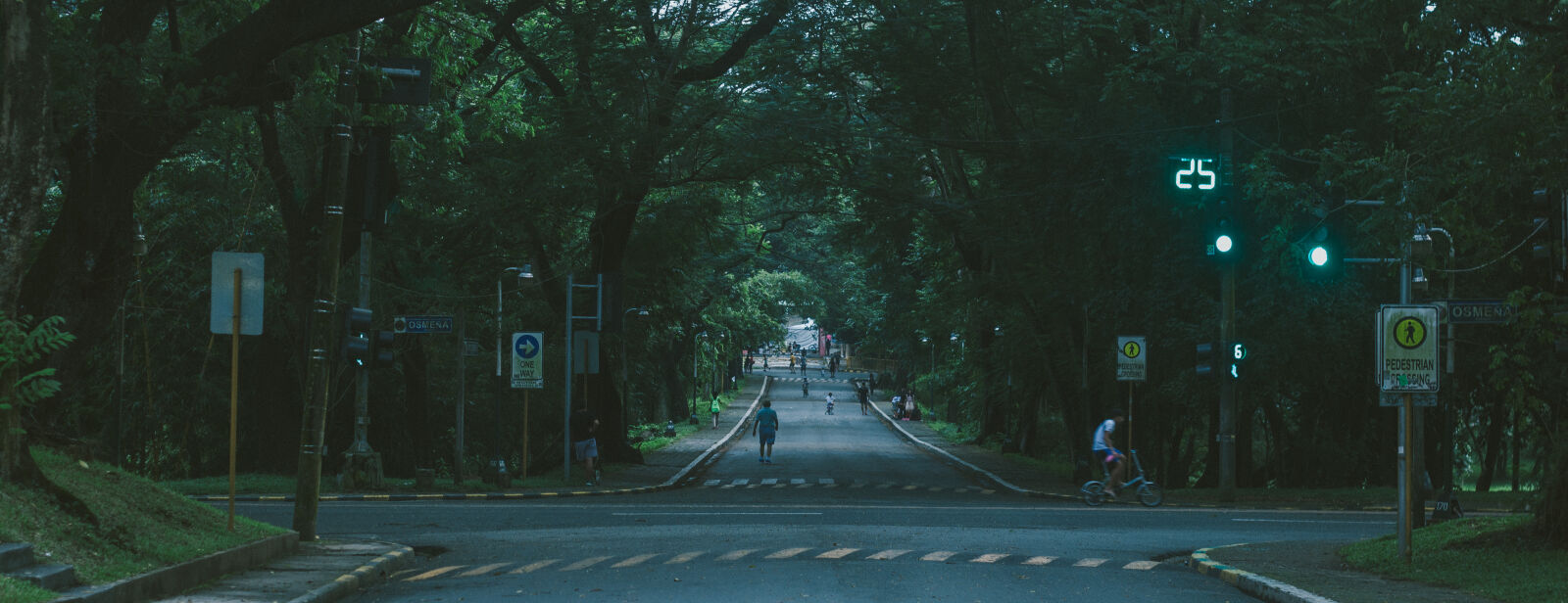 Canon EF 50mm F1.8 II sample photo. Diliman, street, trees, university photography