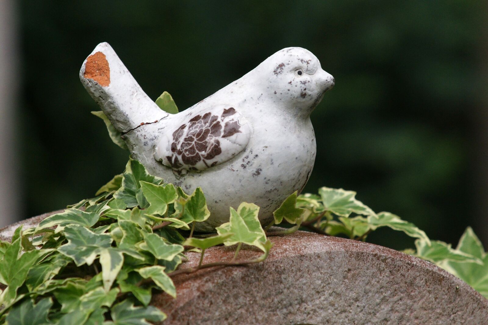 Sony Alpha DSLR-A700 sample photo. Bird, contemplative, figure photography