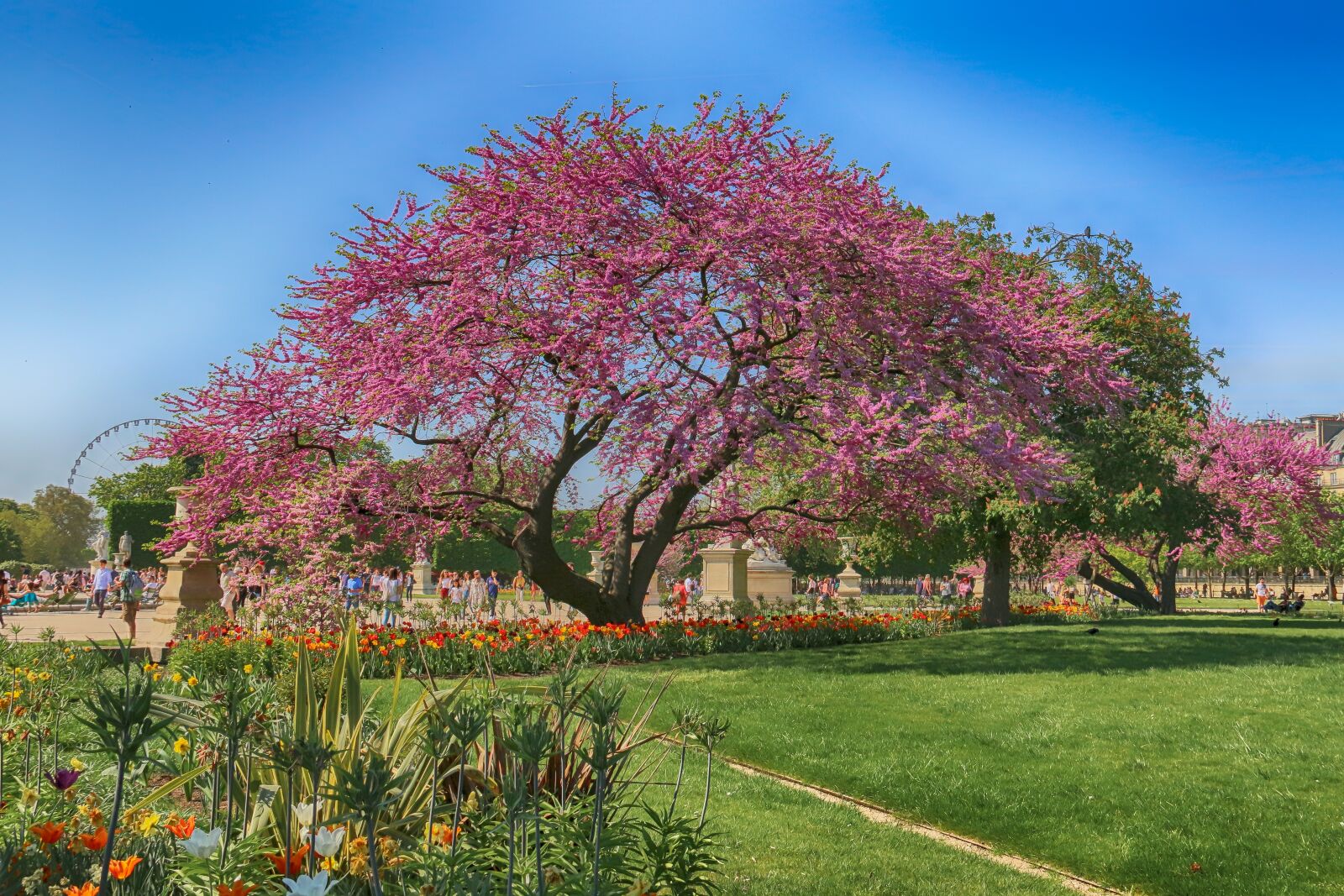 Canon EOS 70D sample photo. Paris, jardin-des-tuileries, tuileries photography