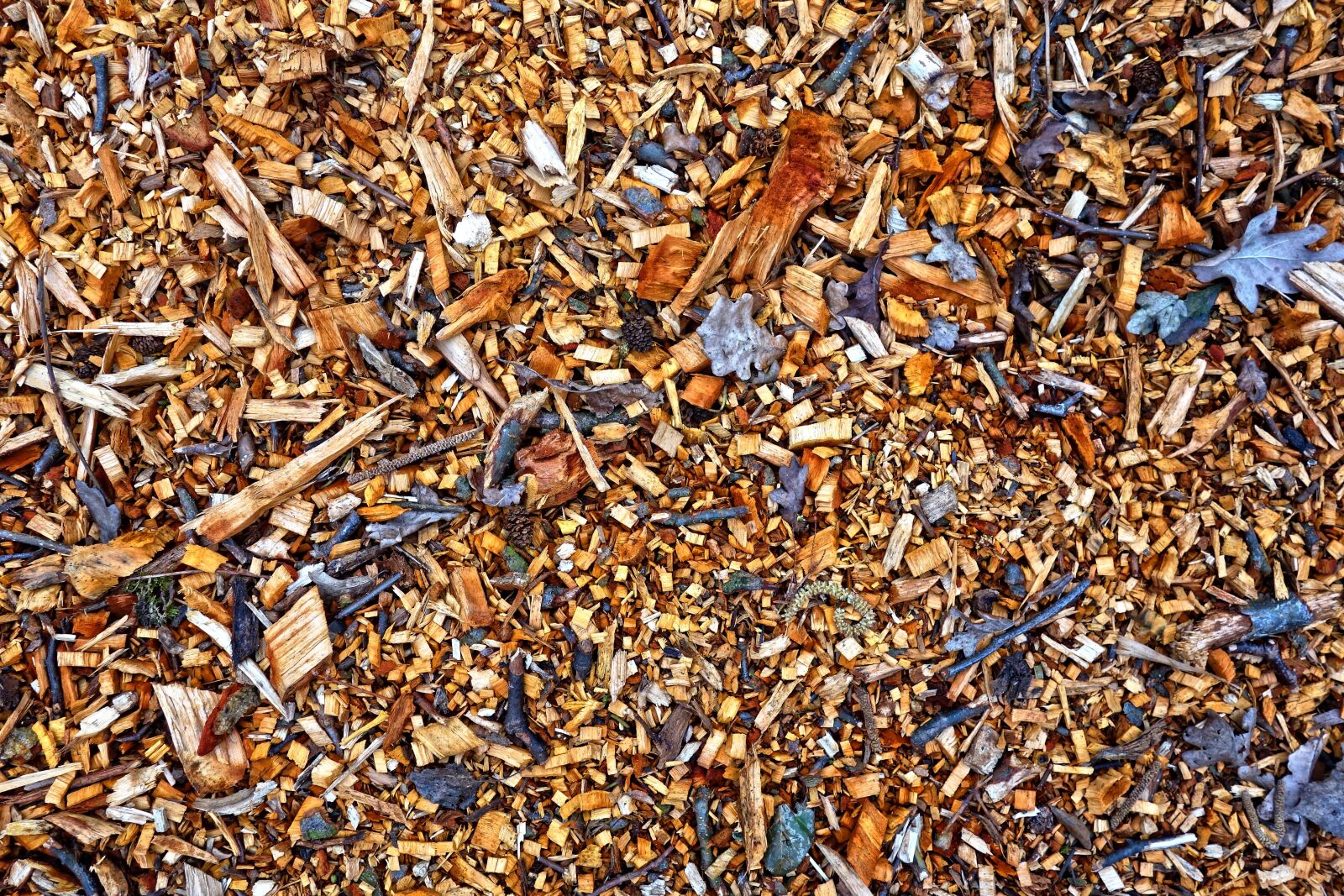 Sony Cyber-shot DSC-RX100 sample photo. Wood chips, wood, chips photography