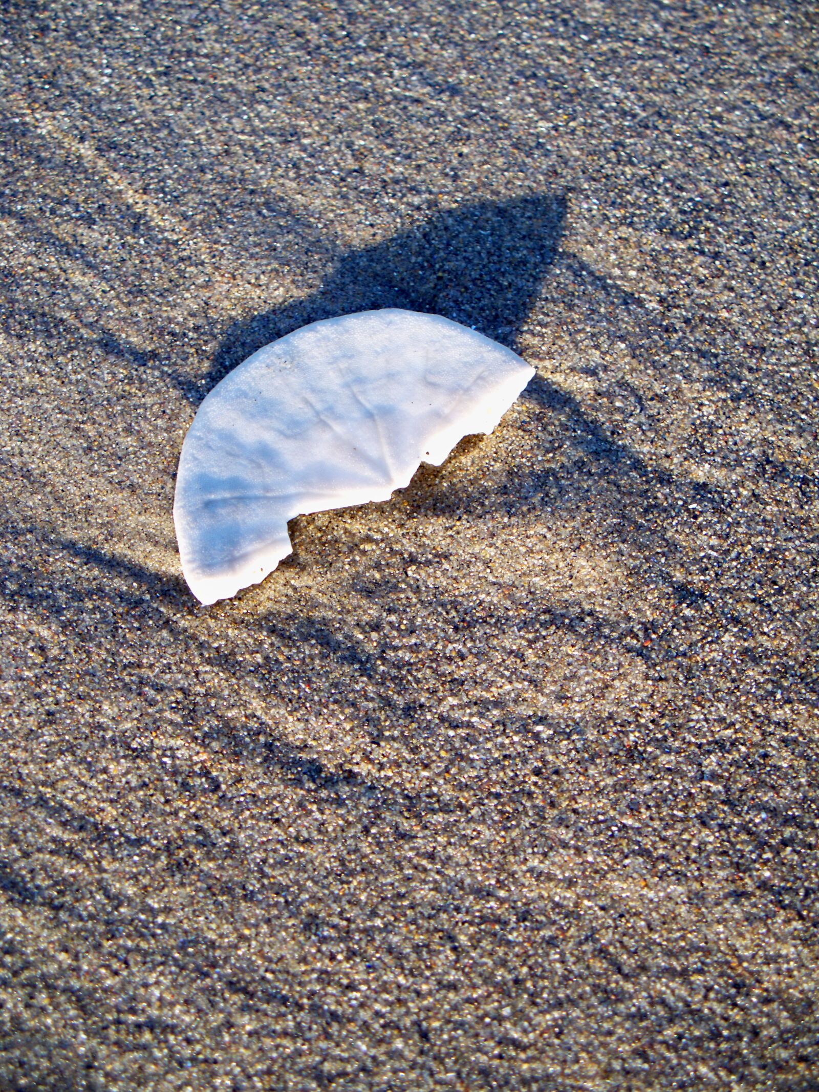 Kodak EASYSHARE Z1485 IS DIGITAL CAMERA sample photo. Sand, beach, nature photography