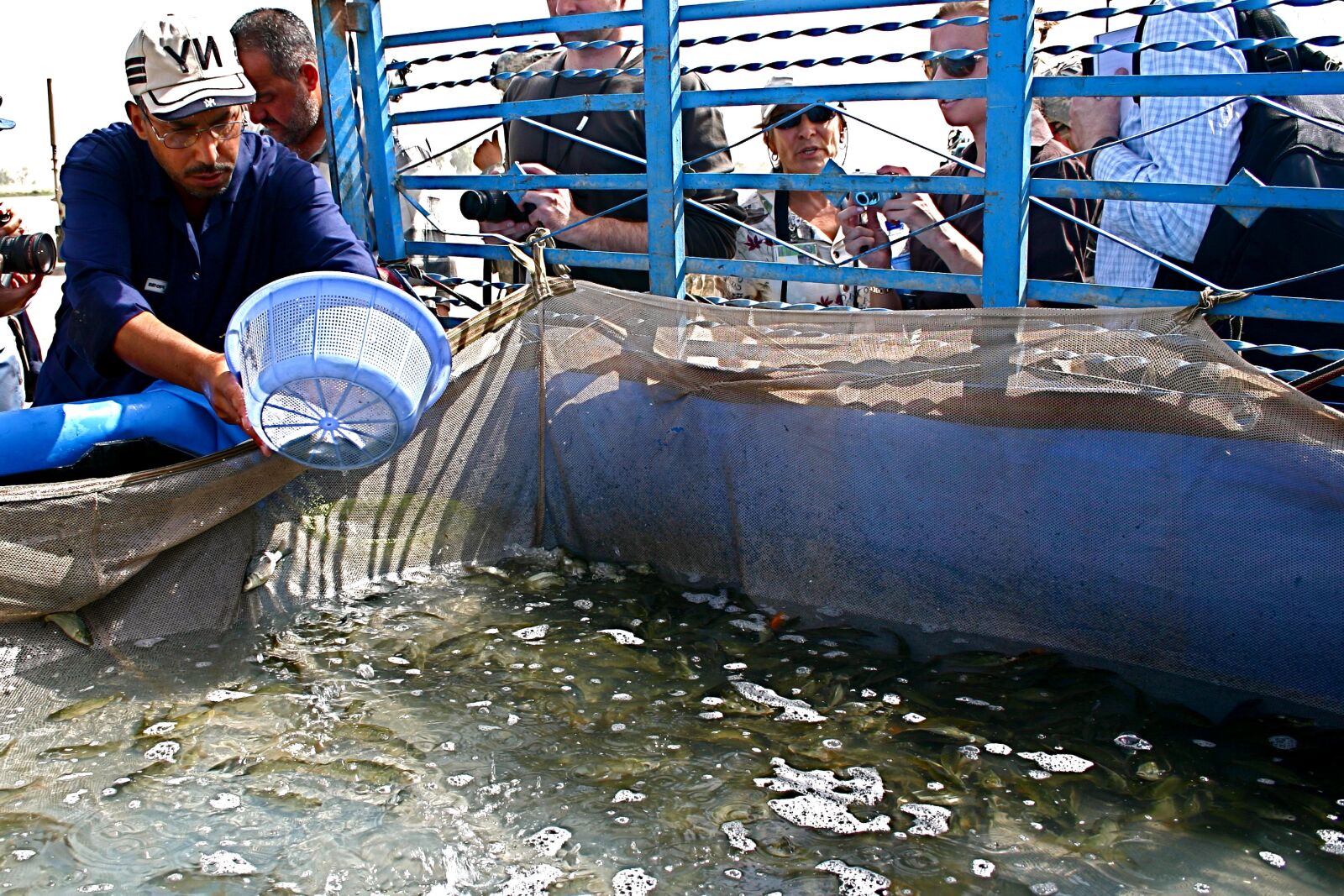 Canon EOS 300D (EOS Digital Rebel / EOS Kiss Digital) sample photo. Euphrates, fish, farm photography
