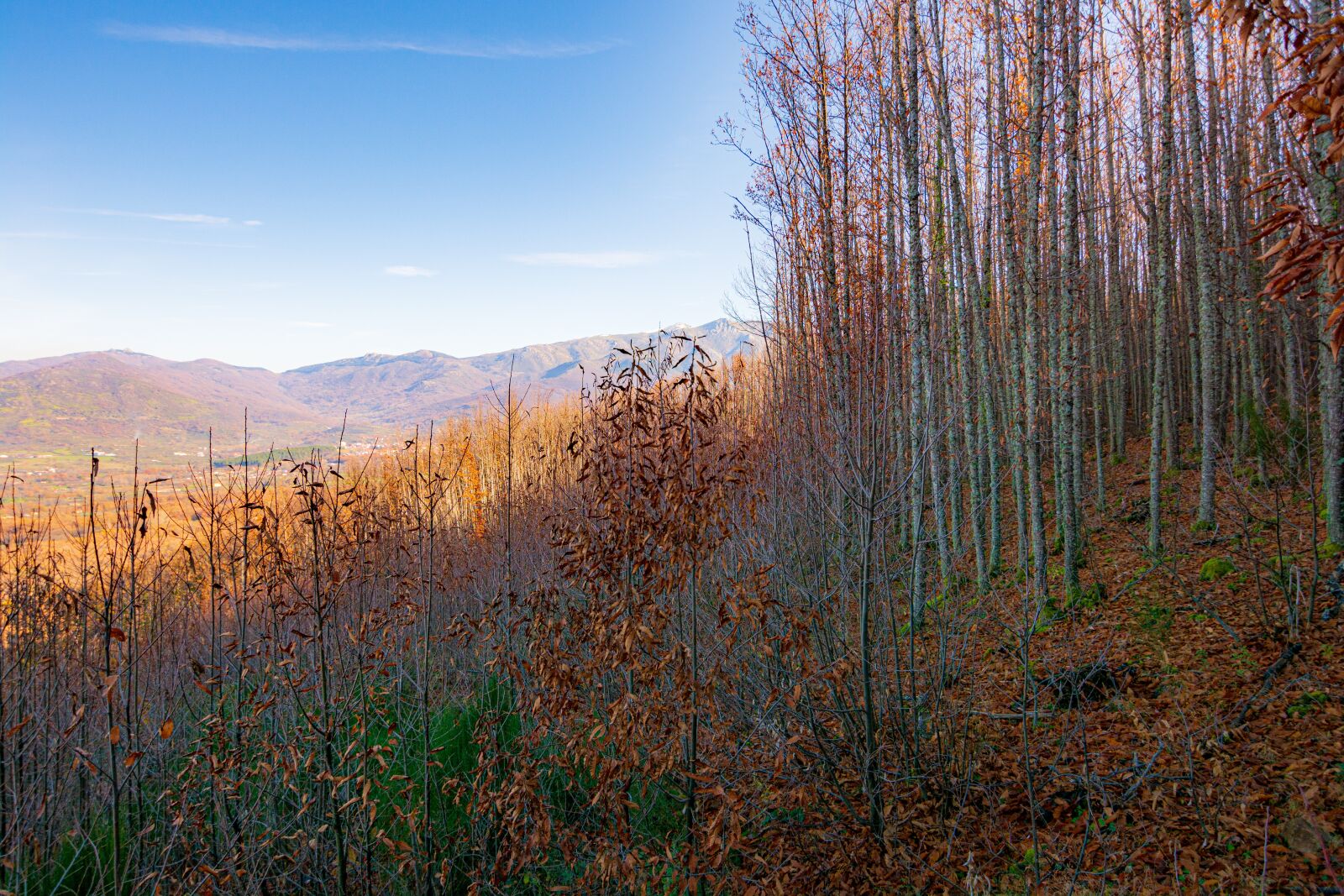 Nikon D7100 sample photo. Autumn, colors, landscape photography
