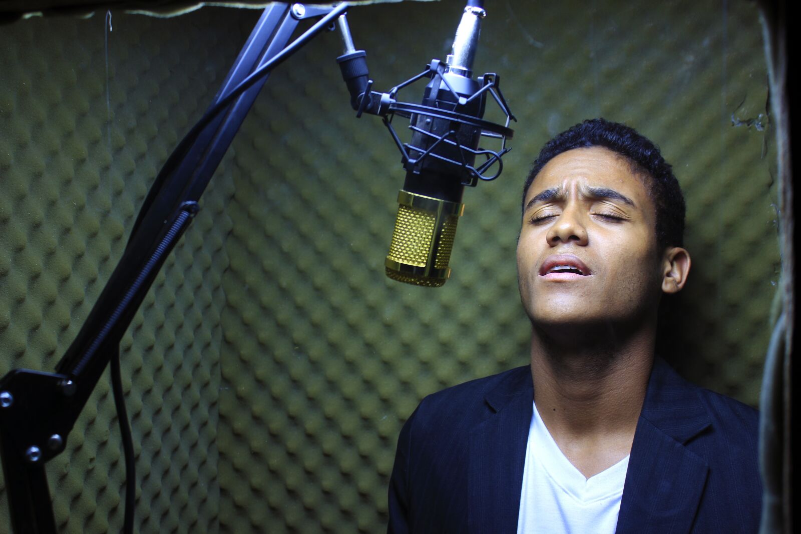 Canon EOS 600D (Rebel EOS T3i / EOS Kiss X5) sample photo. Microphone, audio, mic photography