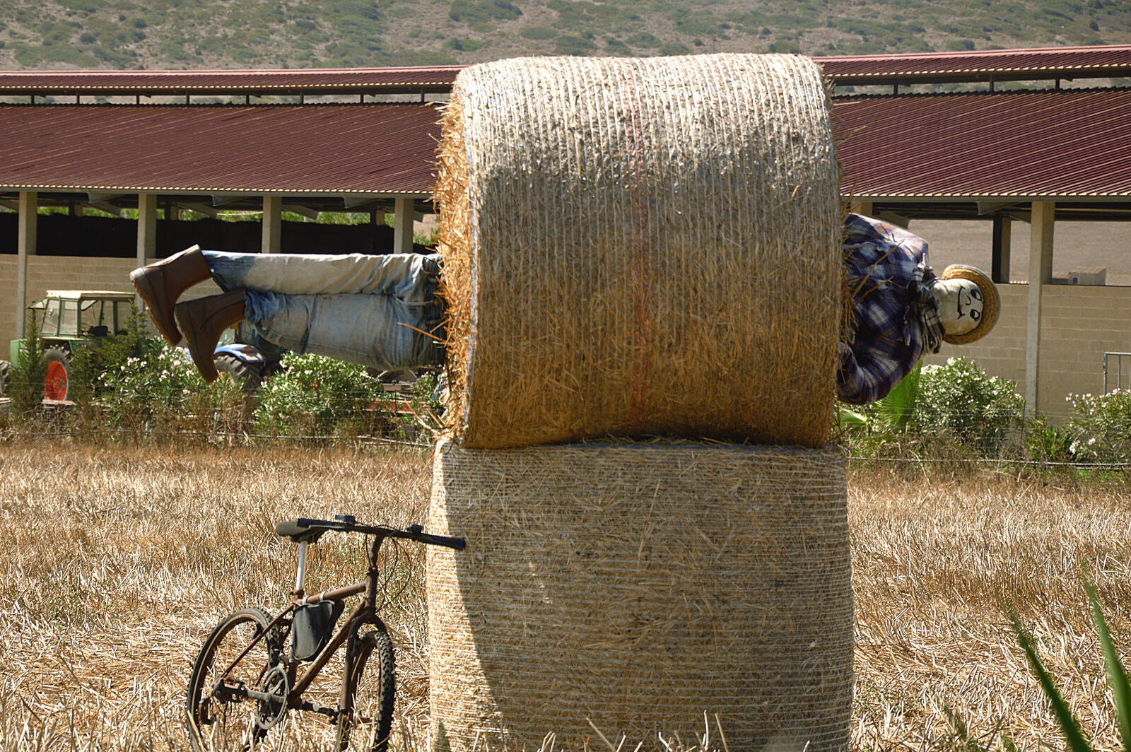 Nikon D3200 sample photo. Art, hay, sardegna, scarecrow photography