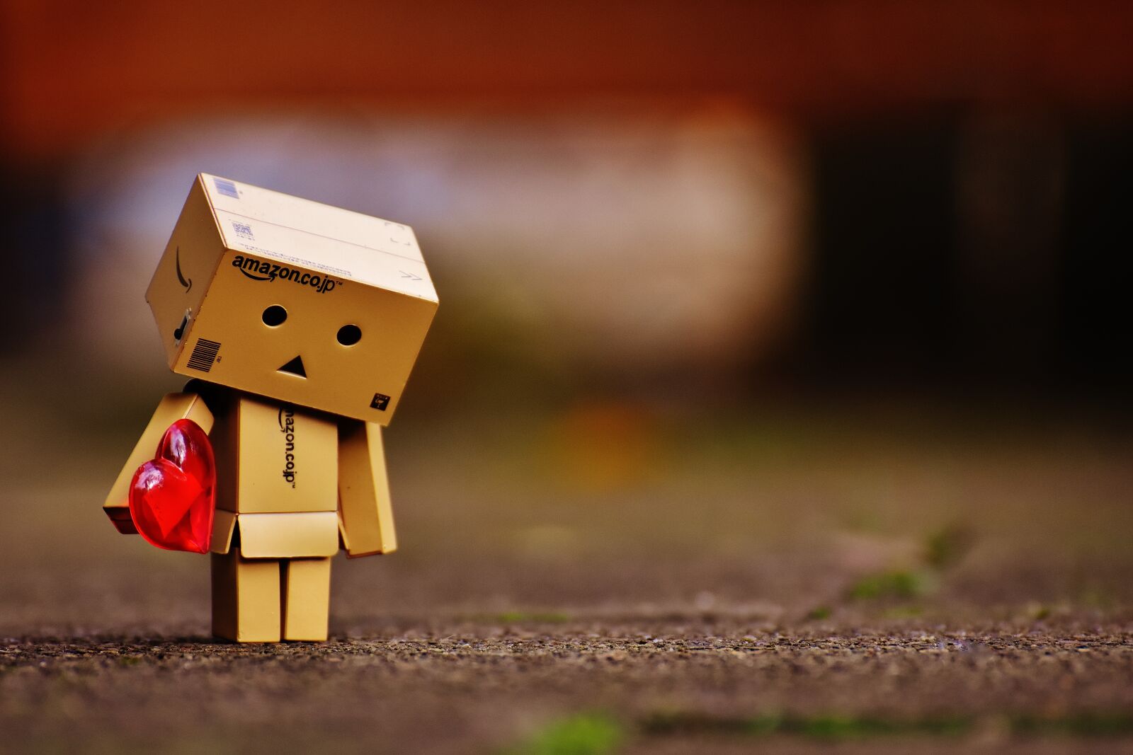 Nikon D7200 sample photo. Danbo, figures, love photography