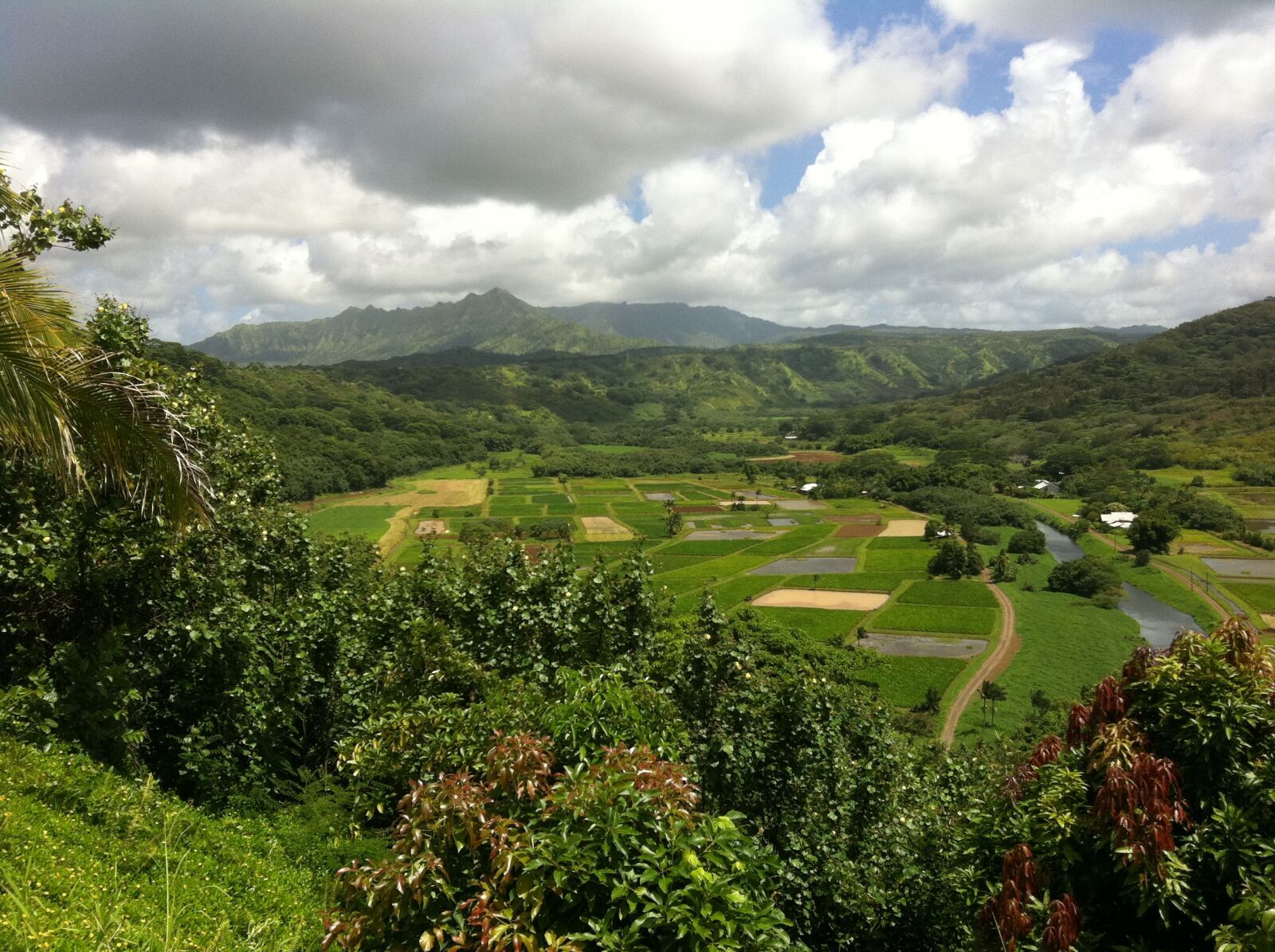 Apple iPhone 4 sample photo. Hawaii, farms, landscape photography