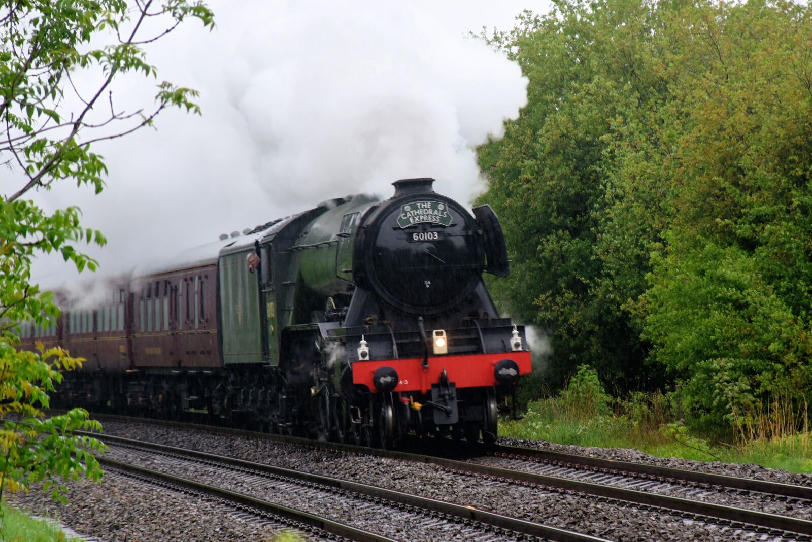 Nikon D750 sample photo. Flying, scotsman, steam photography