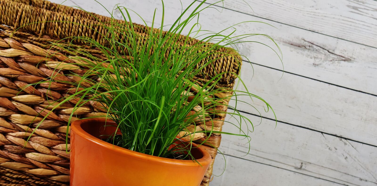 Nikon D7200 sample photo. Grass, water hyacinth, basket photography