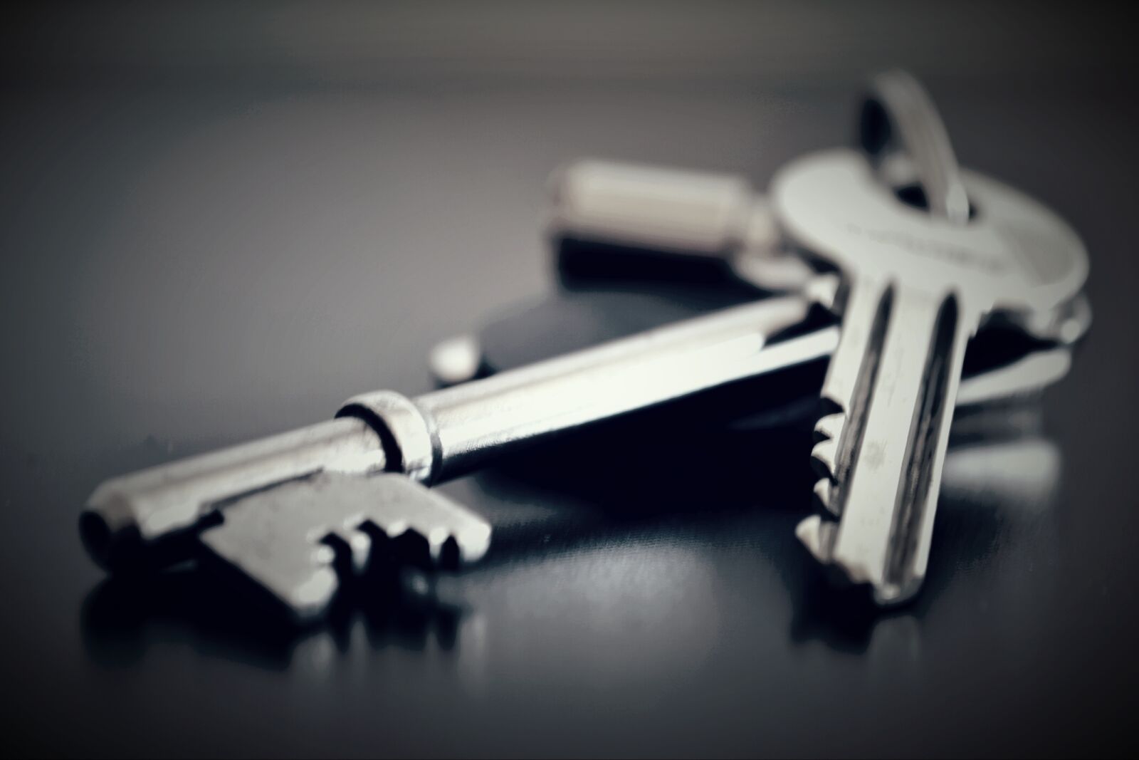 Nikon D3100 sample photo. No person, key, industrial photography