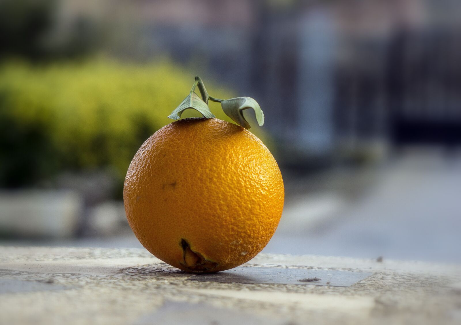 Sony E 55-210mm F4.5-6.3 OSS sample photo. Orange, citric, fruit photography