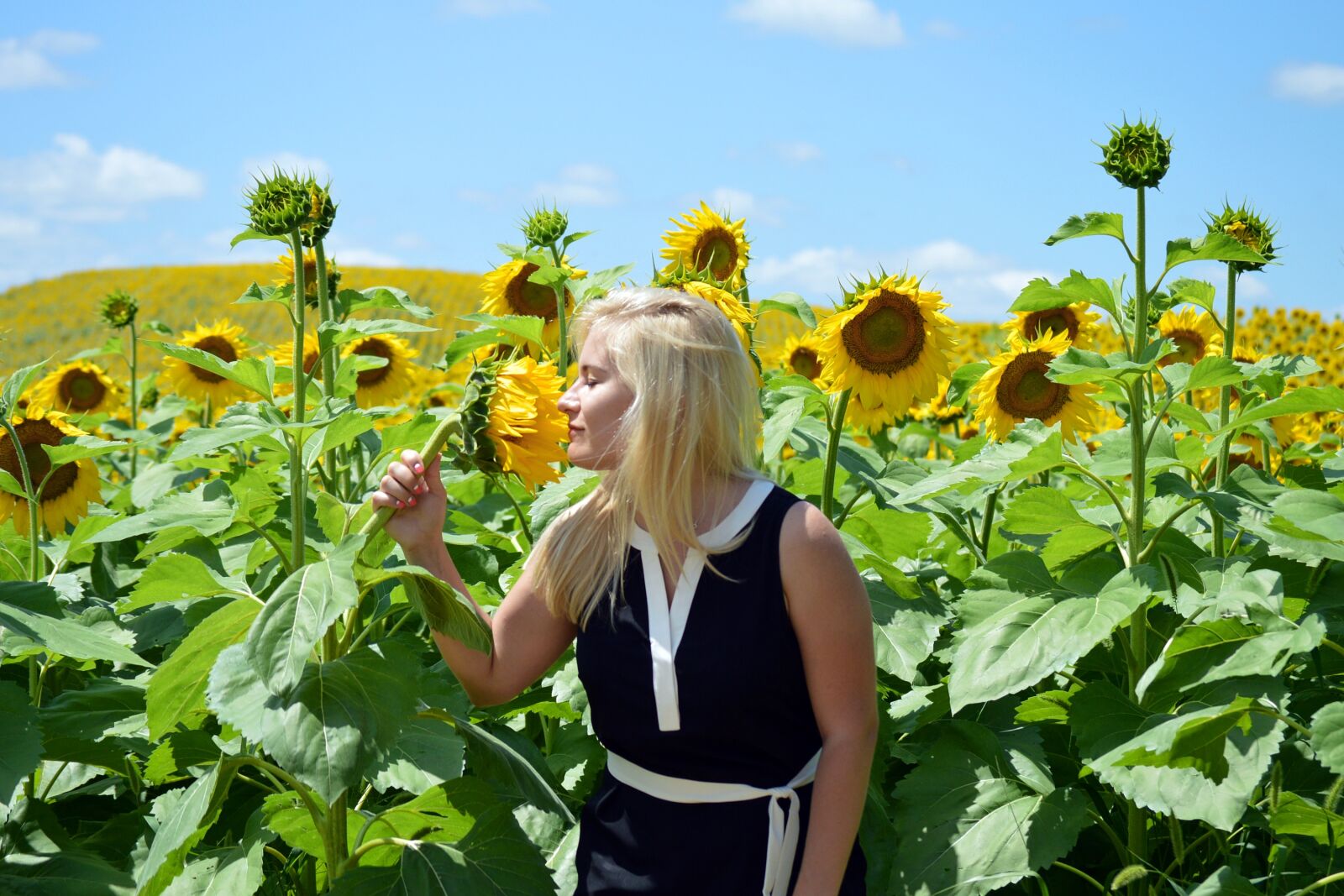 Nikon D3200 sample photo. Sunflowers, blond, girl photography