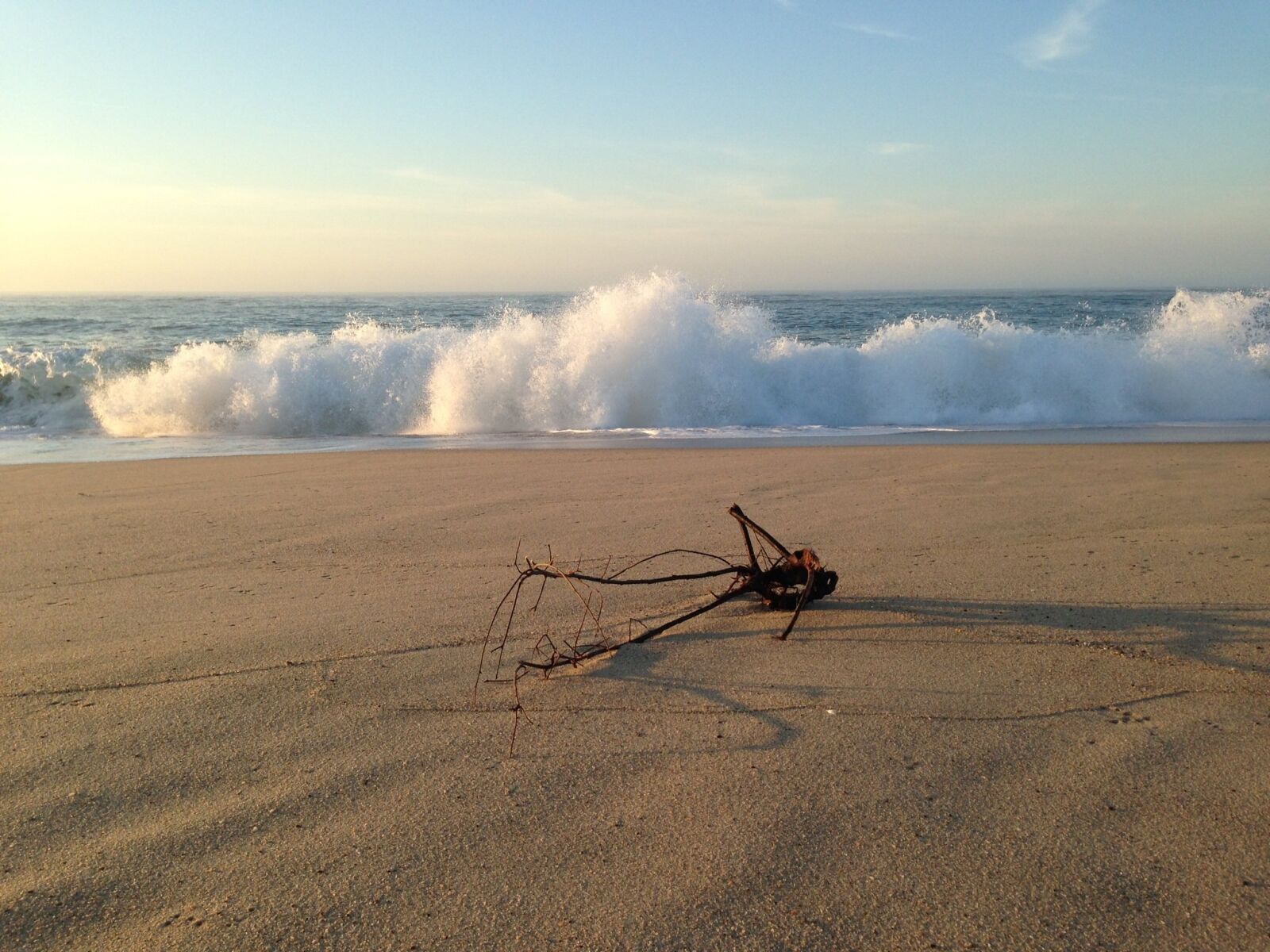 iPhone 5 back camera 4.12mm f/2.4 sample photo. Driftwood, ocean, wave photography