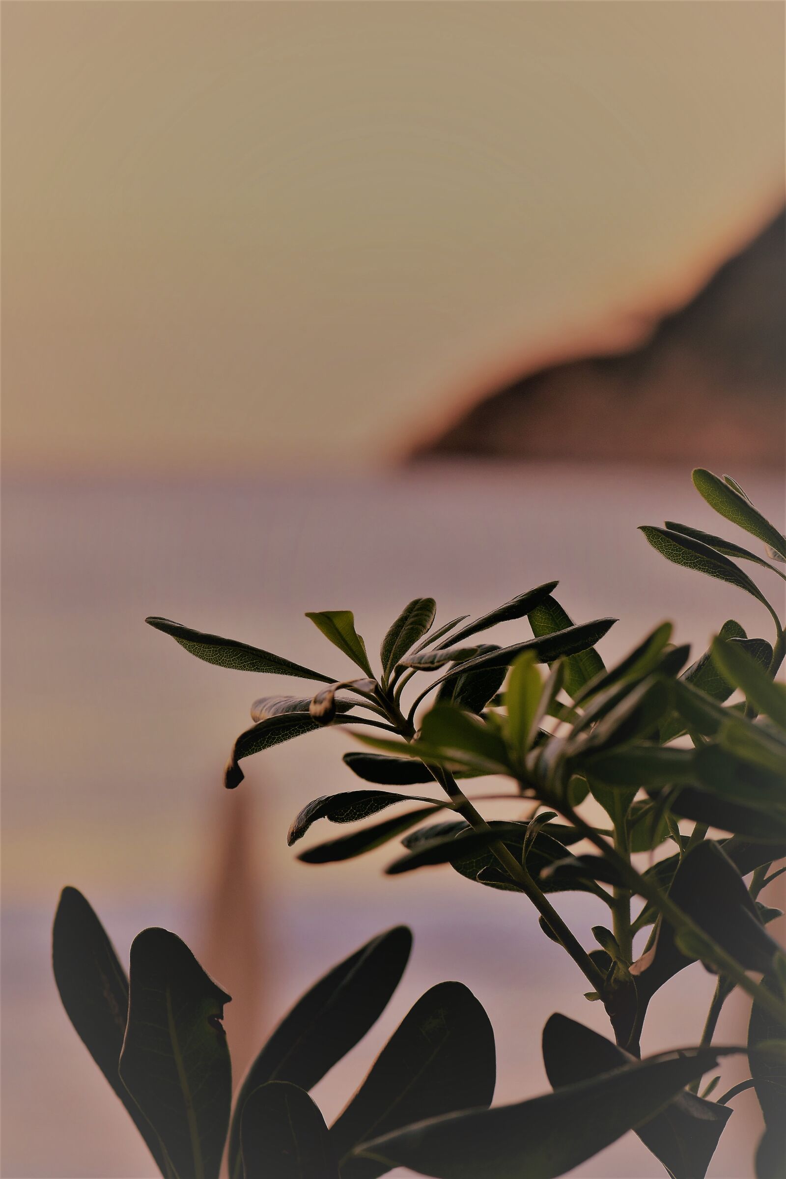 Nikon D5500 sample photo. Beach, sea, sunrise photography