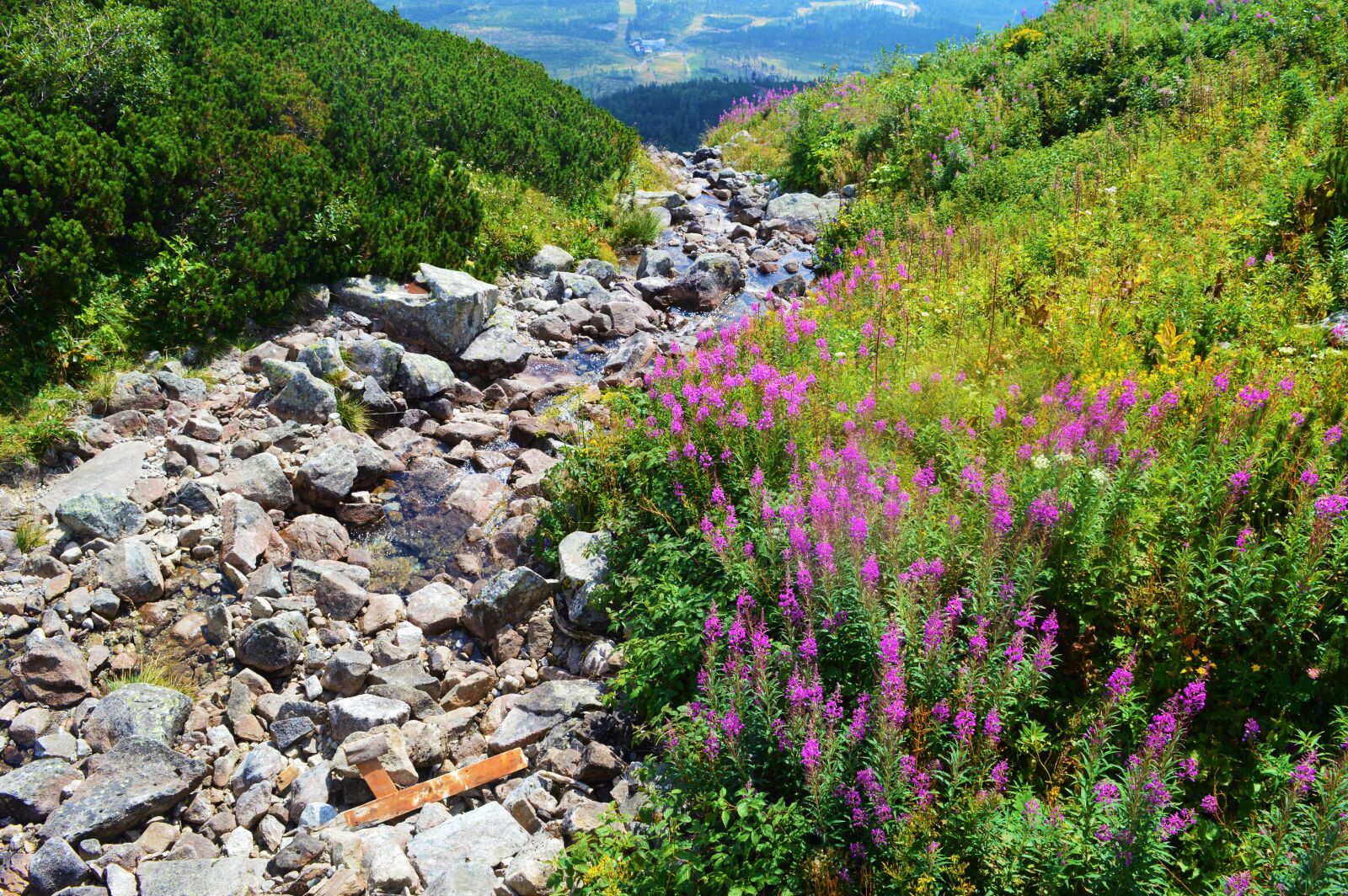 Nikon D3200 sample photo. High, high, tatras, mothernature photography