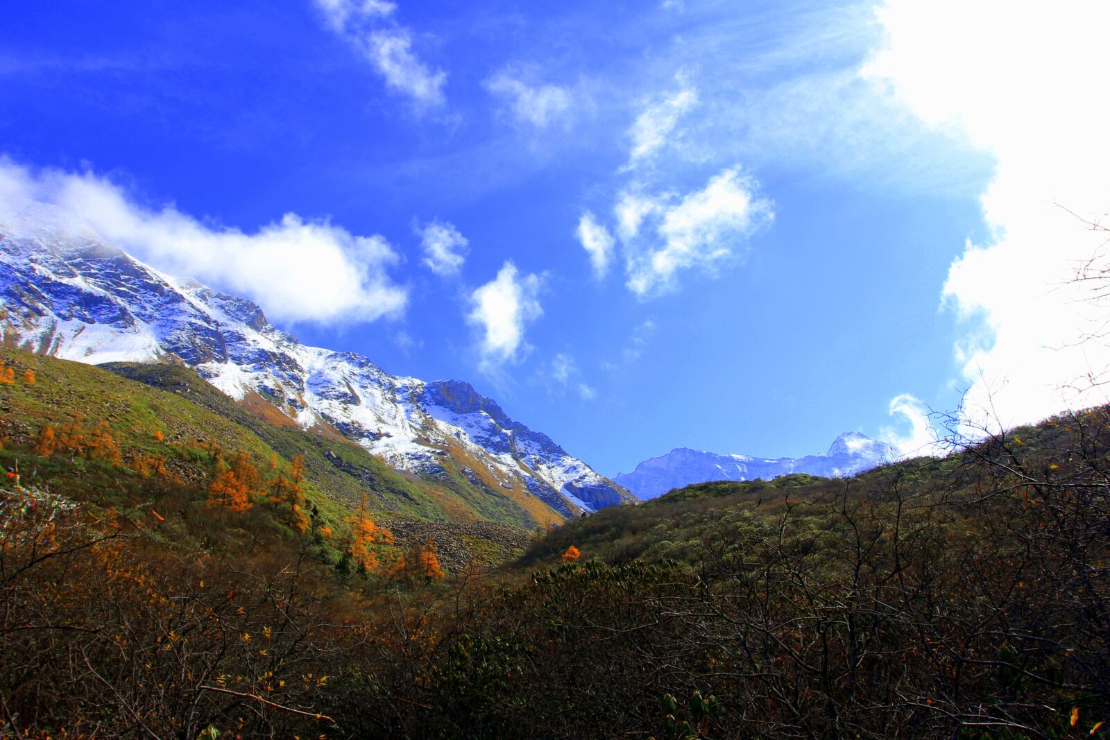 Canon EOS 60D + Canon EF 17-40mm F4L USM sample photo. The yellow dragon, jiuzhaigou photography